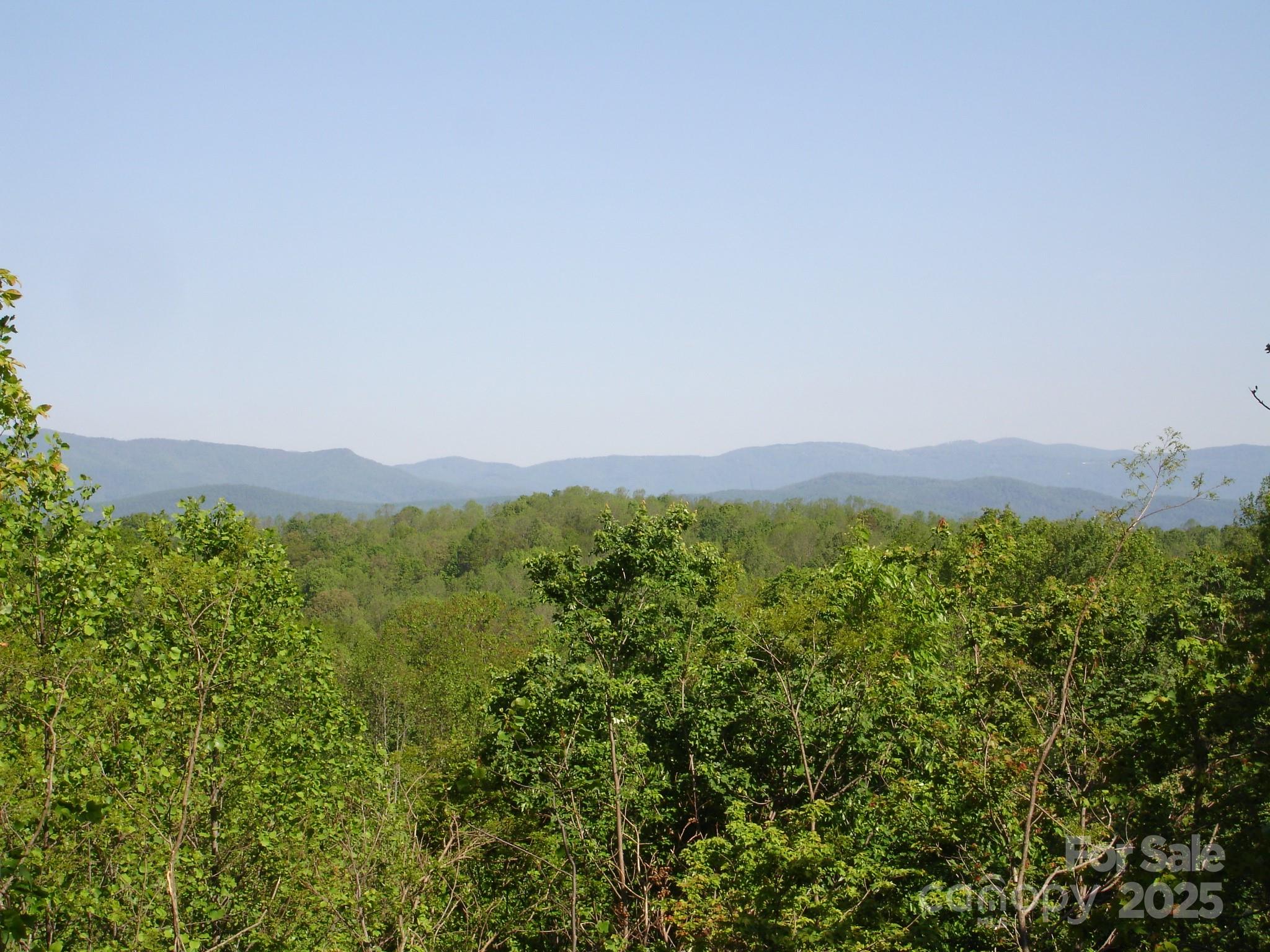 TBD Black Lark Drive