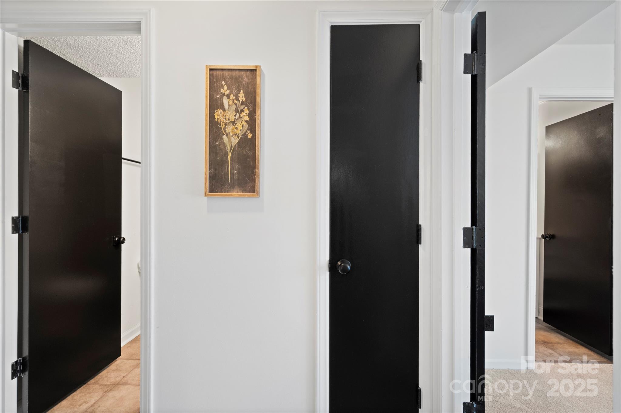 Carmel Village - Residential