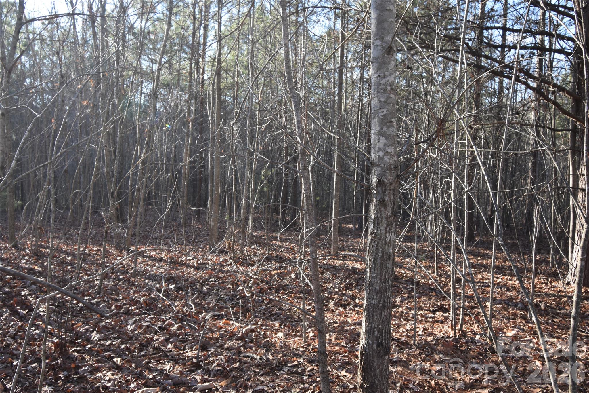 Lot 75 Tayberry Drive