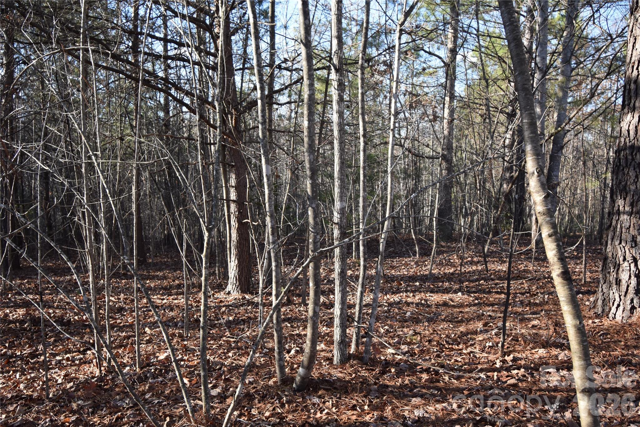 Lot 75 Tayberry Drive