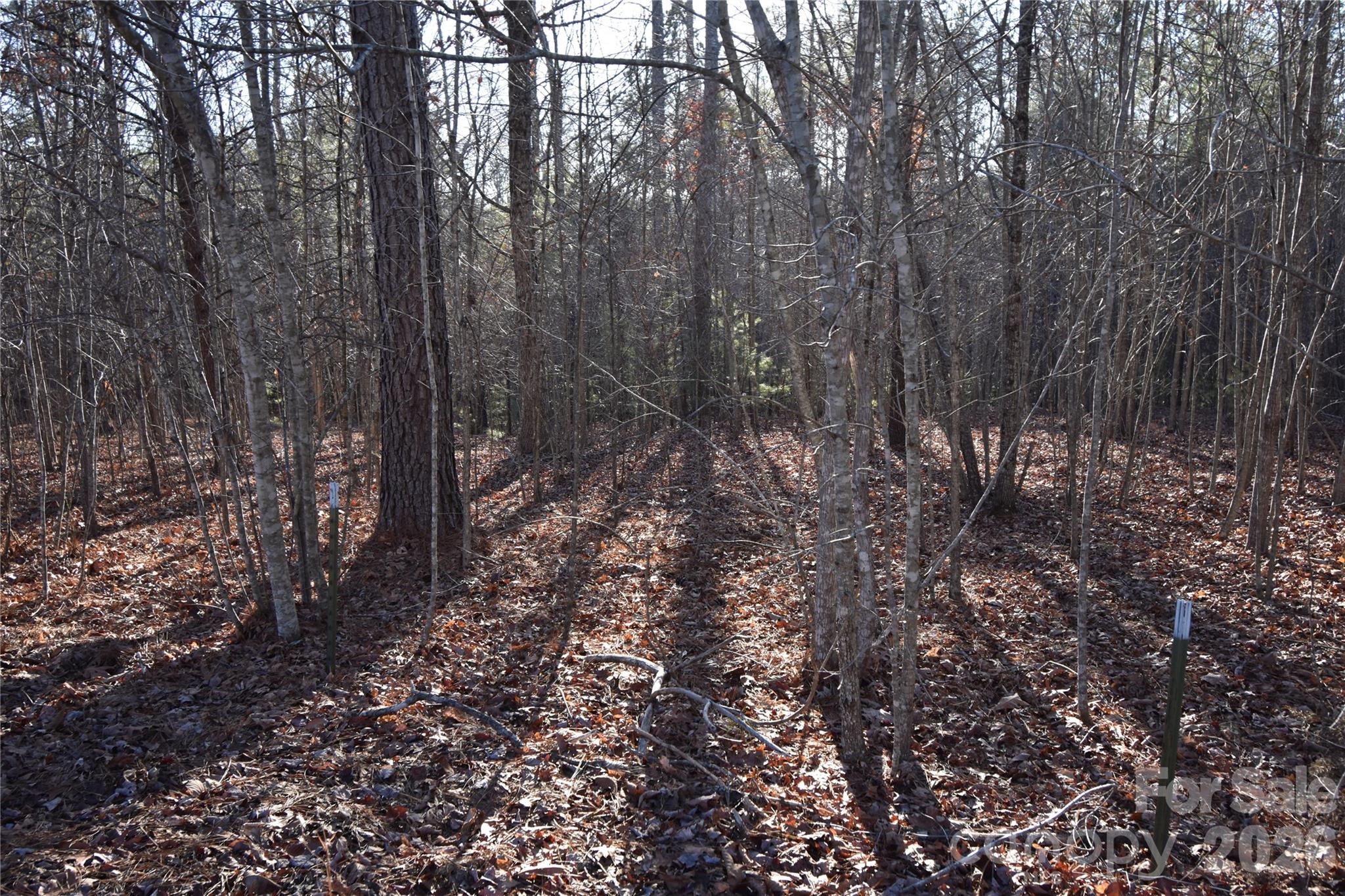 Lot 75 Tayberry Drive