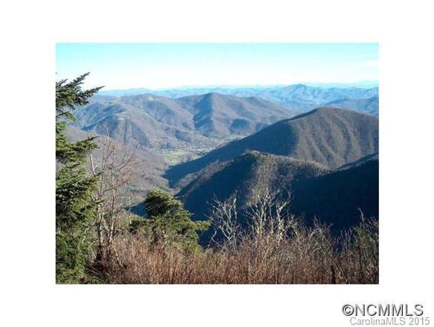 Exceptional property with many unique features. Borders Soco Rd for 1 mile w very nice entry areas off Soco Rd. Borders Blue Ridge Parkway @ 2 mi. Borders Campbell Cr(Native Trout Stream) for over 4500'. Elevations up to 5500'. Areas of Southern Appalachian Spruce-Fir Forest(2nd most endangered ecosystem in U.S.) Home to Rocky Mountain Elk, Black Bear, Deer, etc. Convenient to Maggie Valley, snow skiing, golf, 11 mi to Harrah's Cherokee Casino.