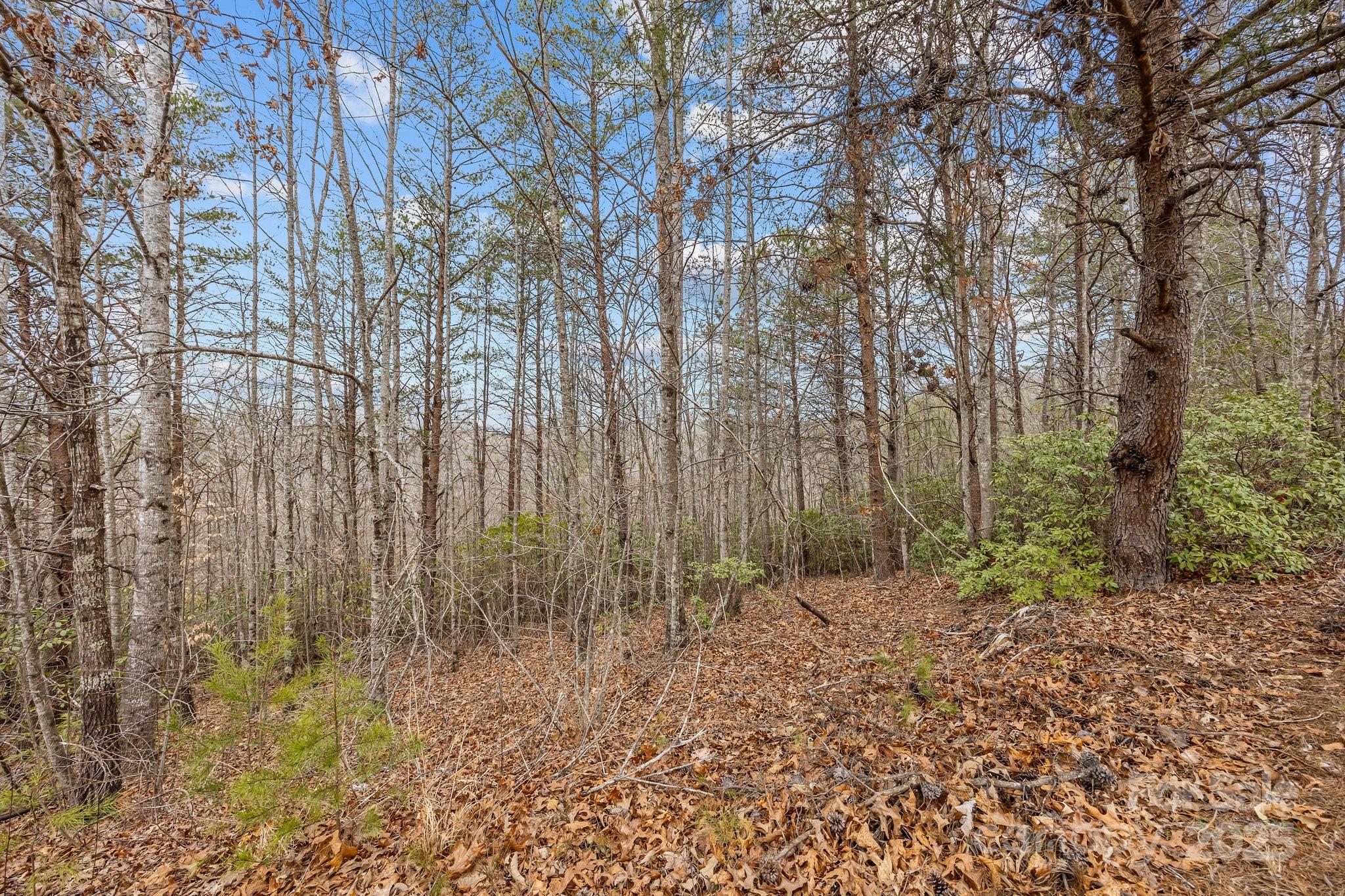 Lot 108 Glenhaven Drive