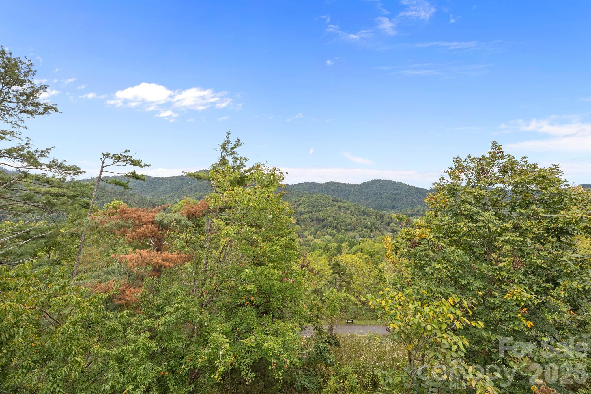 Beaverdam Run - Residential