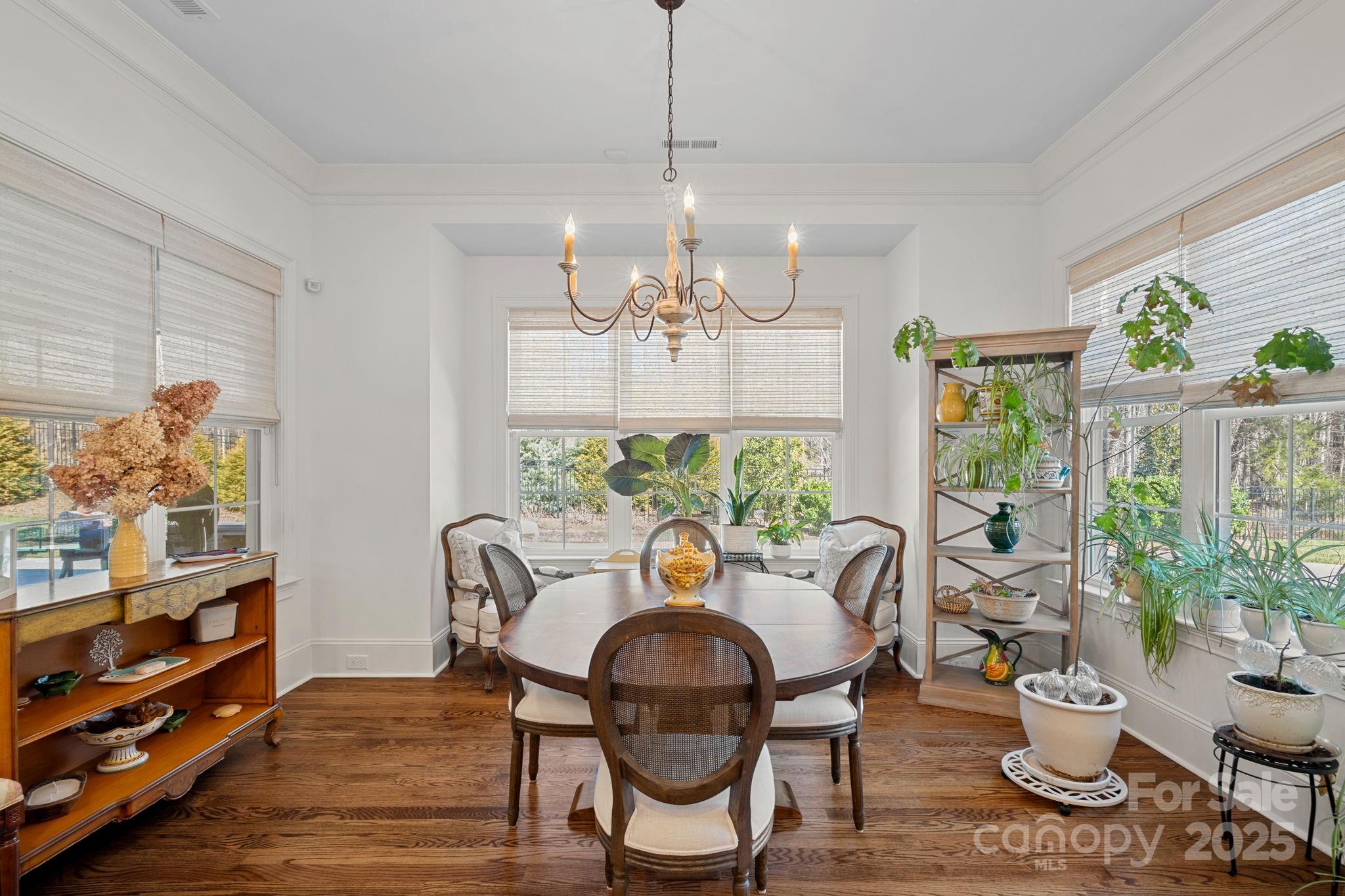 Canisteo - Residential