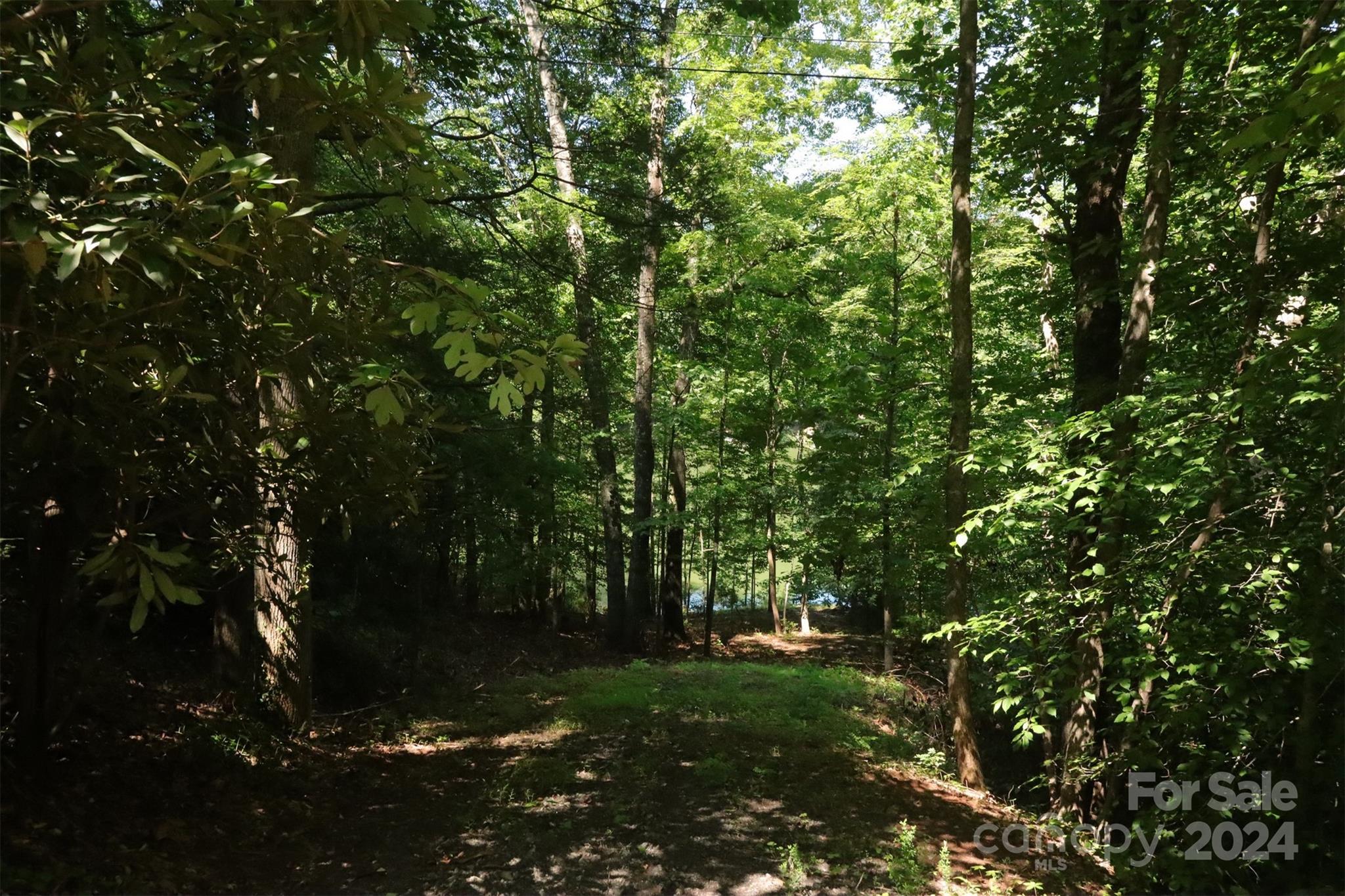 Rumbling Bald on Lake Lure - Land
