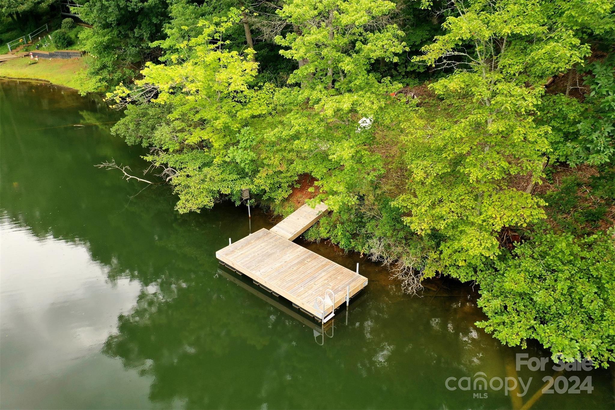 Rumbling Bald on Lake Lure - Land