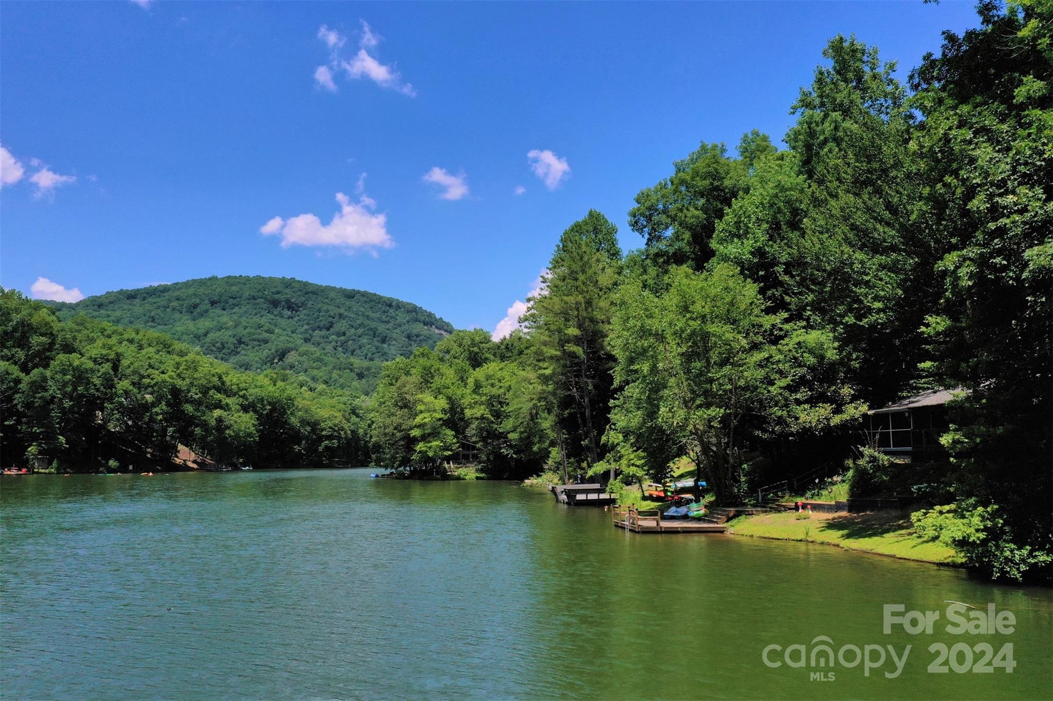 Rumbling Bald on Lake Lure - Land