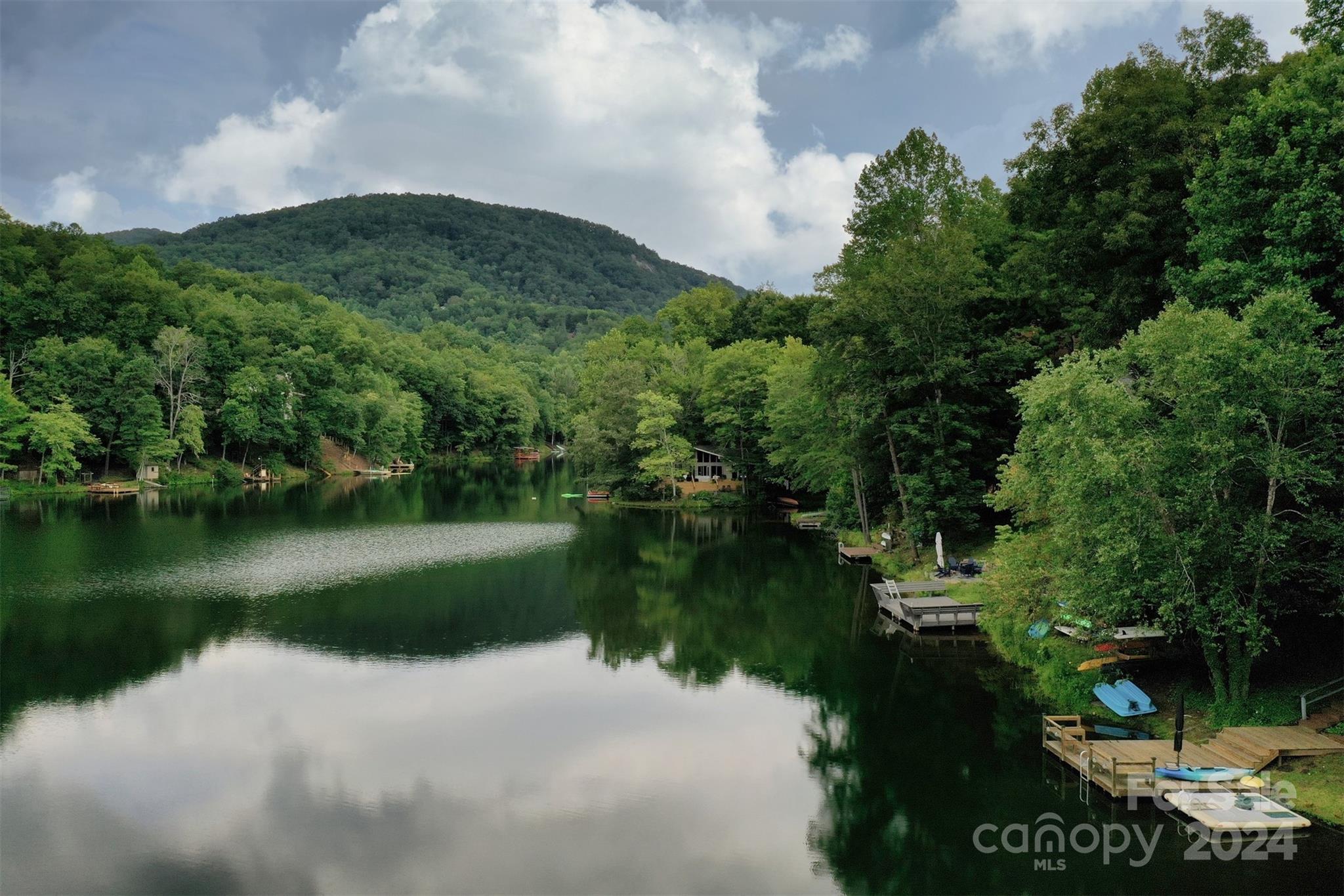 Rumbling Bald on Lake Lure - Land