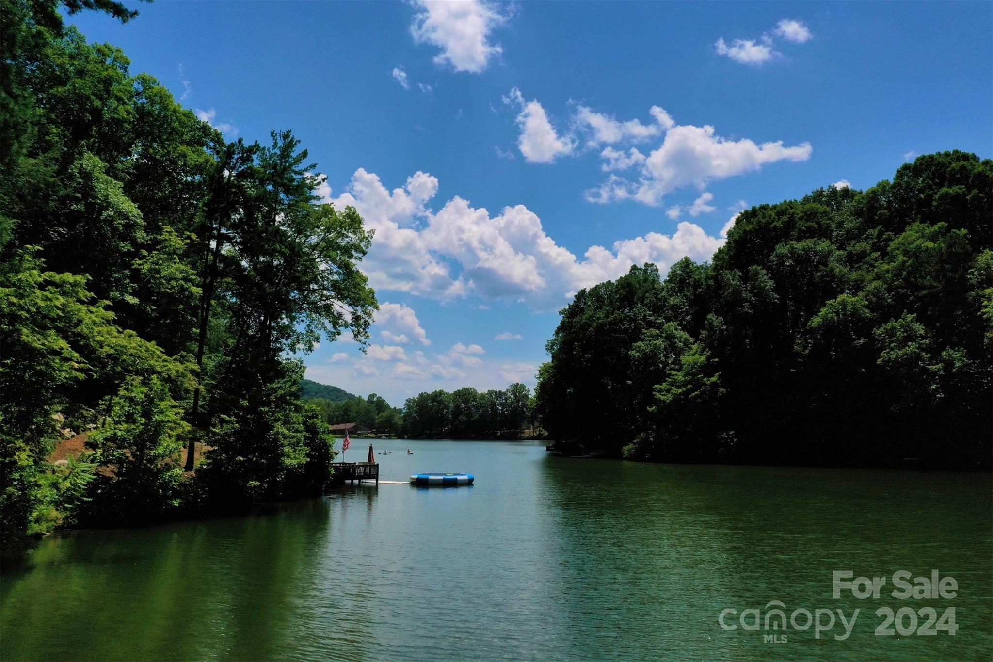 Rumbling Bald on Lake Lure - Land