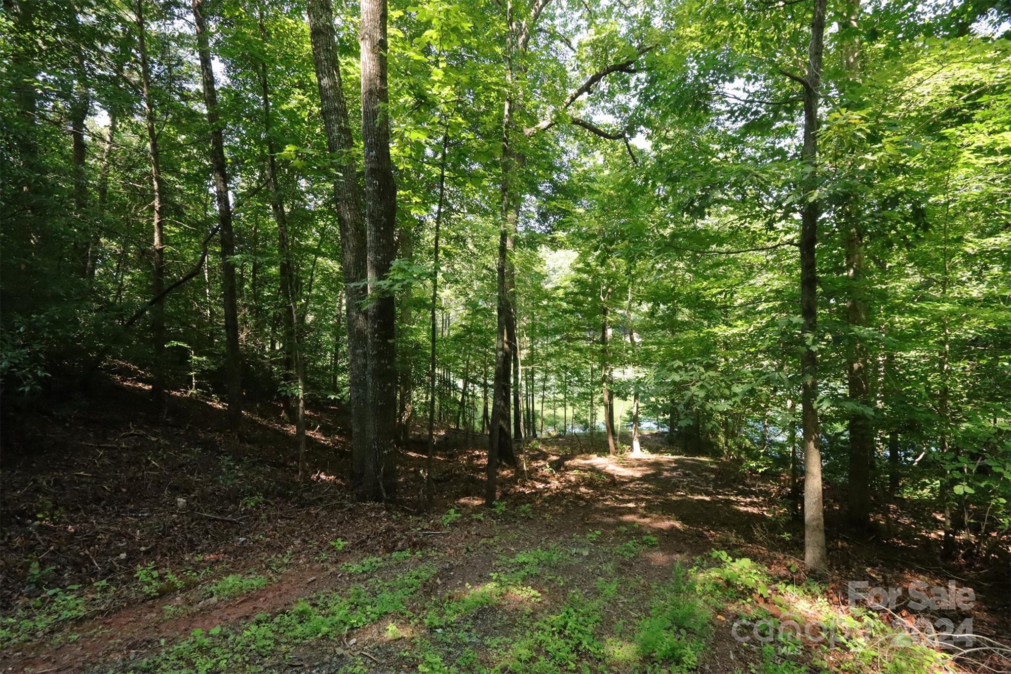 1733 Buffalo Creek Road