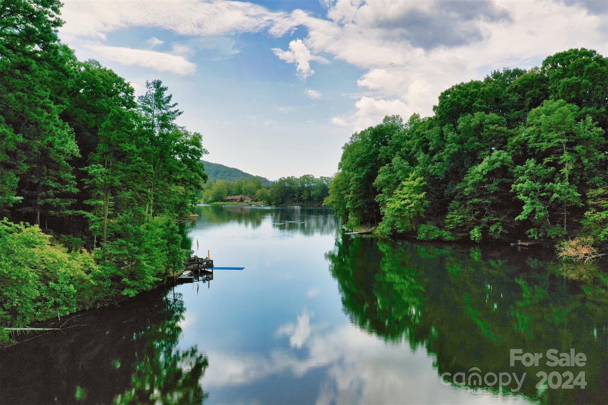 Rumbling Bald on Lake Lure - Land