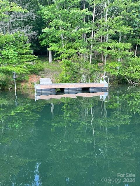 Rumbling Bald on Lake Lure - Land
