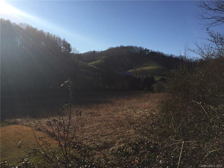 Level lot in a beautiful mountain setting. Smell the crisp air and hear the sounds of a quiet creek. Only three other houses with access in this quiet valley setting. Access directly from Browntown Road and/or from an easement on a dirt road in very good condition (road maintenance agreement already in place, see deed). Level and cleared lot ready to build. Should easily accommodate septic (buyer to confirm). Spectacular sunset and pastural views from this homesite.