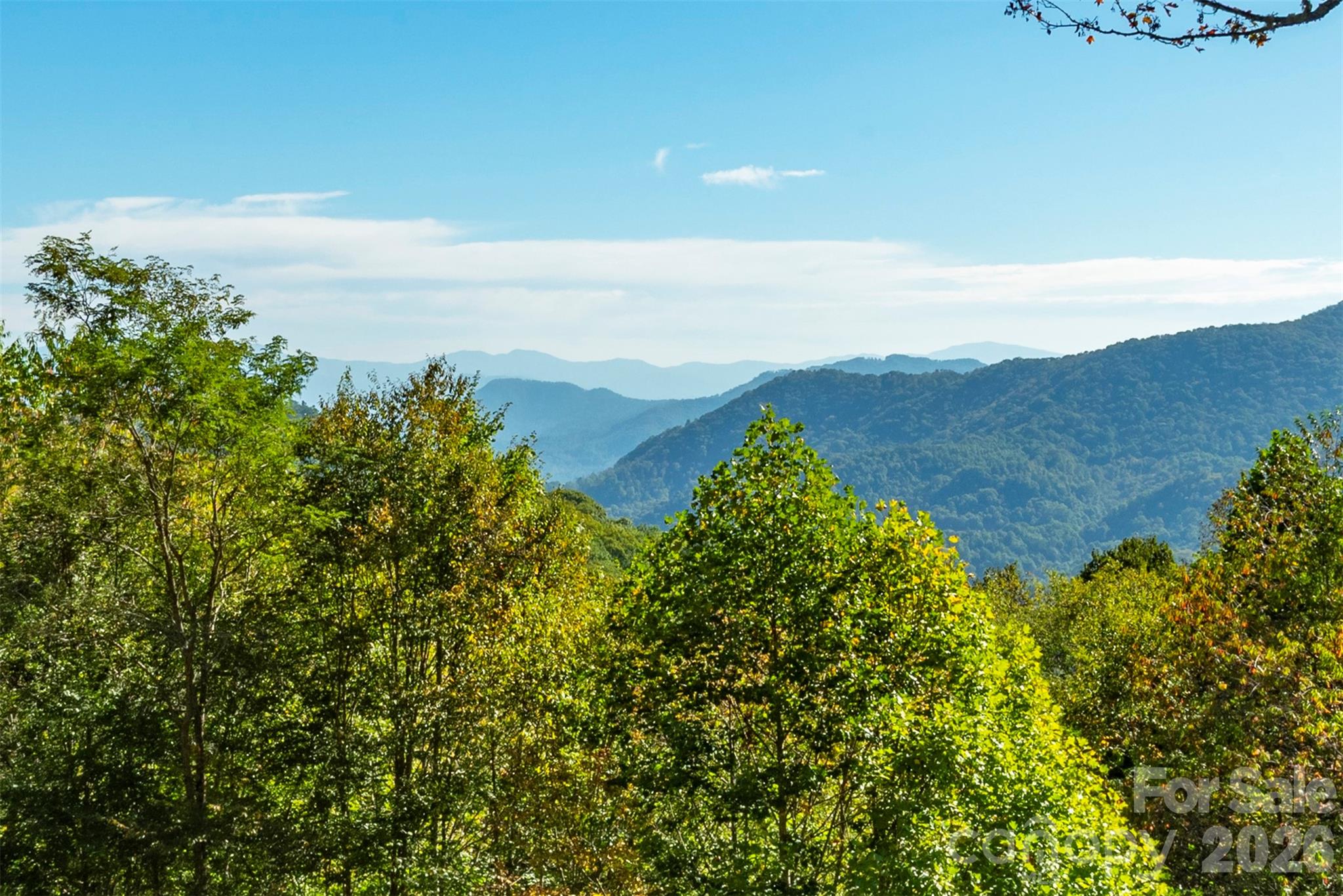 Wolf Laurel - Residential