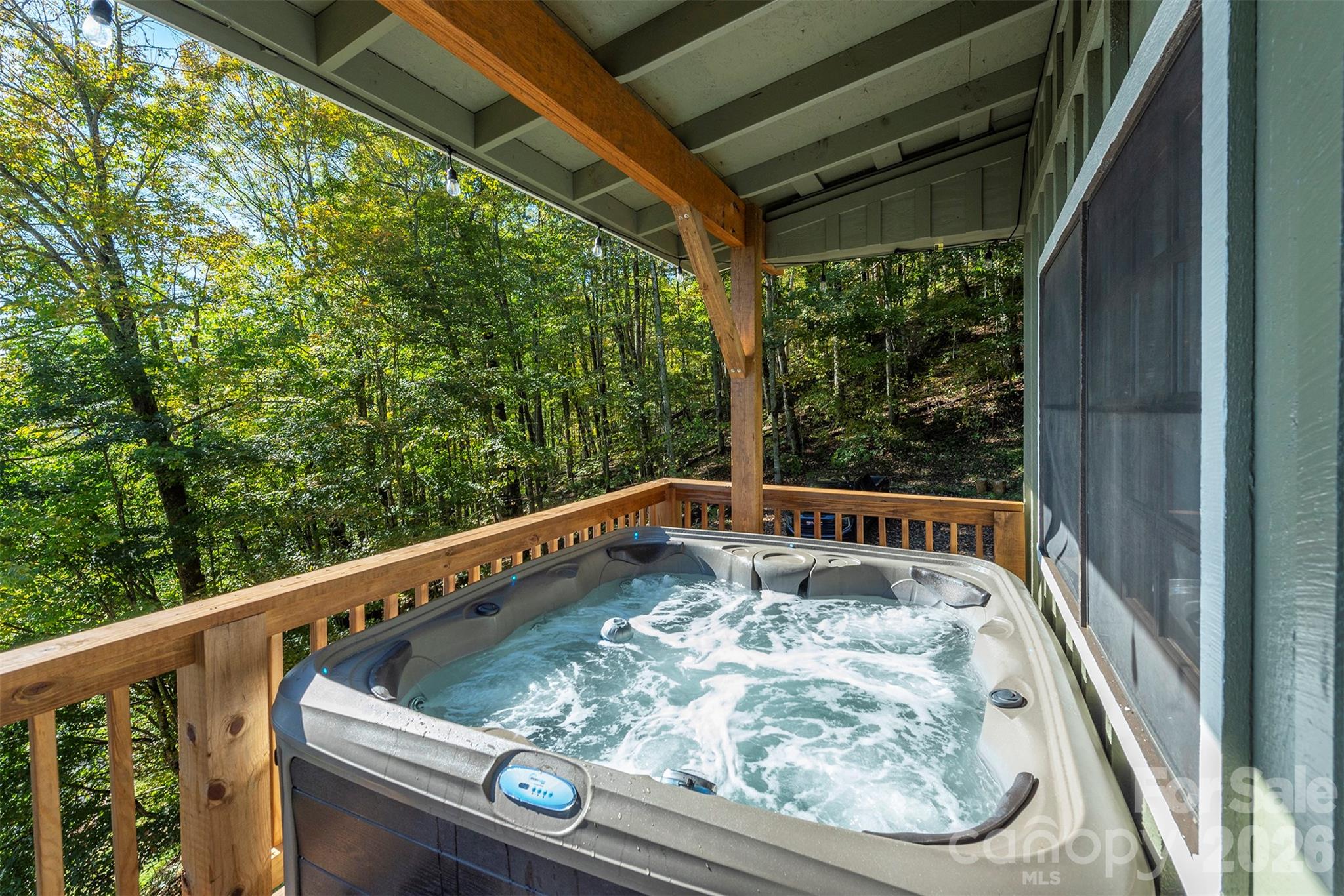 Wolf Laurel - Residential