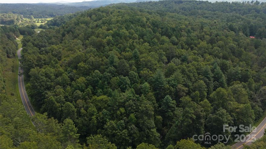 For Sale: 35.65 Acres of Pristine Wooded Land in Old Fort, NC Discover an exceptional opportunity to own 36.65 acres of beautiful, wooded land in the heart of Old Fort, North Carolina. This expansive tract, nestled in the scenic Blue Ridge Mountains, offers endless possibilities for your vision—whether it's a private home retreat or a multi-use development.  The Property Highlights:  1. Prime Location: Situated with direct road frontage on a state-maintained road, ensuring easy access and visibility.  2. Unique Layout: Spanning both sides of the road, this parcel allows for flexible development options, including single-family estates, a private retreat, or a thoughtfully planned subdivision.  3. Natural Beauty: Densely wooded with mature trees providing privacy, serenity, and a stunning natural backdrop. 4. Versatile Potential: Ideal for a secluded mountain getaway, recreational estate, or a residential community with multiple homesites. 5. Proximity to Amenities: Just minutes from downtown Old Fort, with easy access to Asheville, Black Mountain, and outdoor attractions like Pisgah National Forest, Lake Lure, and the Blue Ridge Parkway. 6. A nicely flowing creek along the front edge of the property. This rare gem offers the perfect blend of seclusion and convenience, making it an ideal investment for developers, outdoor enthusiasts, or those seeking a private sanctuary. Don’t miss your chance to own a piece of Western North Carolina’s breathtaking landscape!