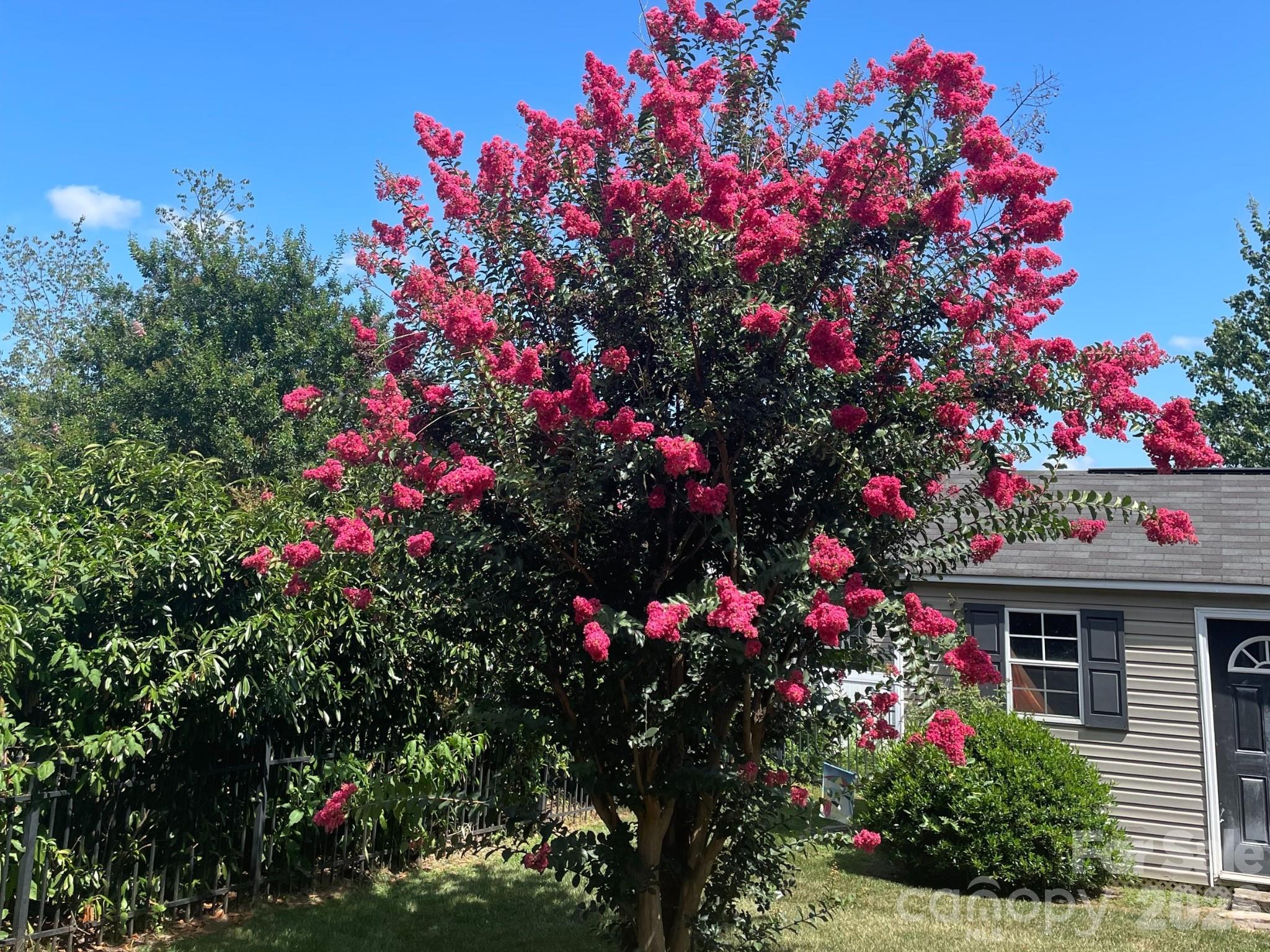 Harris Village - Residential