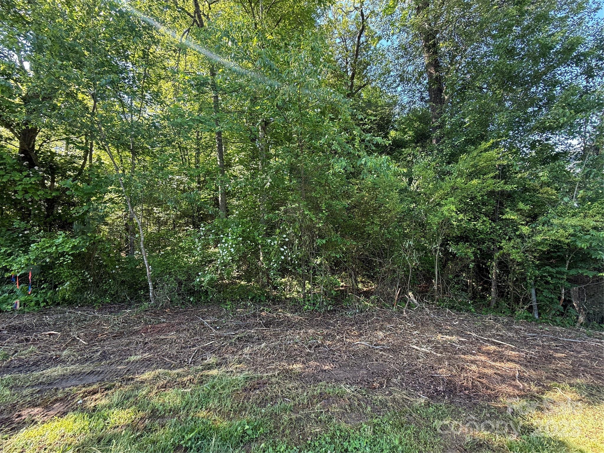 Lot 52 WITTENBURG SPRINGS Drive 052