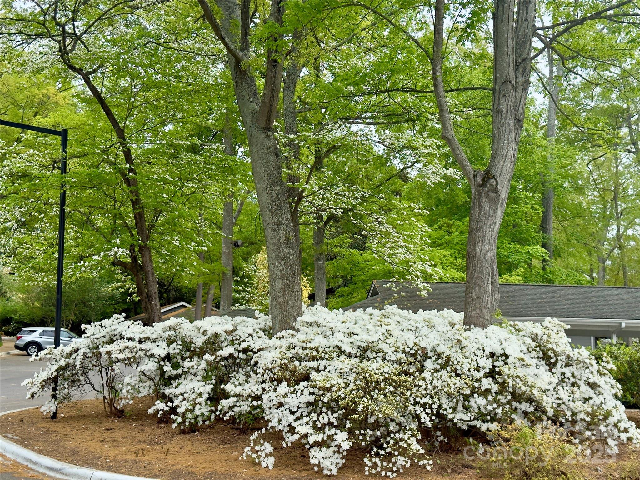 Lake Club - Residential