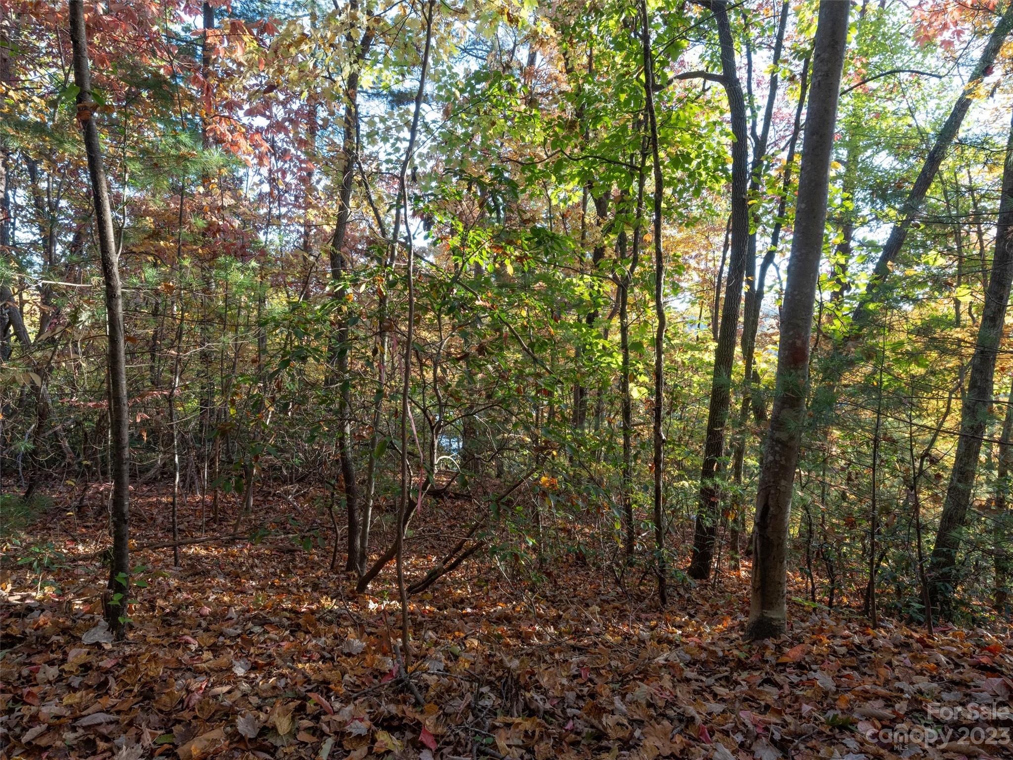 Overlook Park - Land