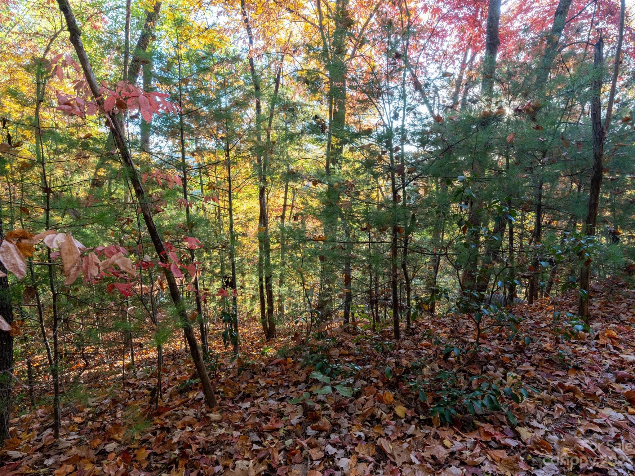 Overlook Park - Land