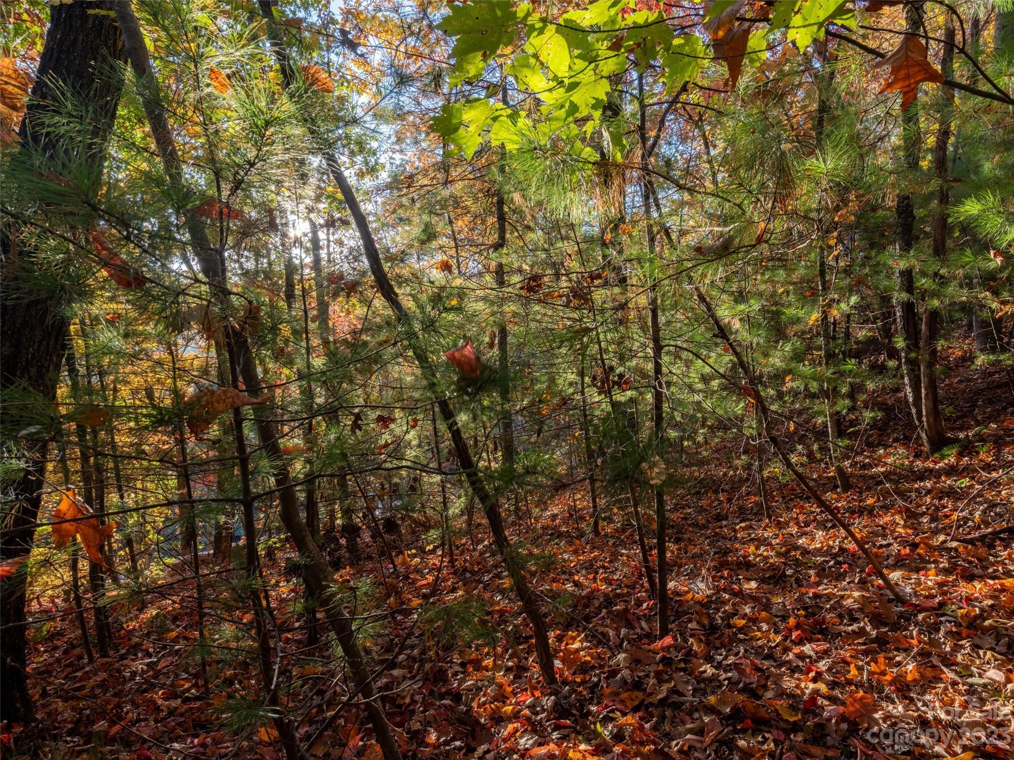 Overlook Park - Land