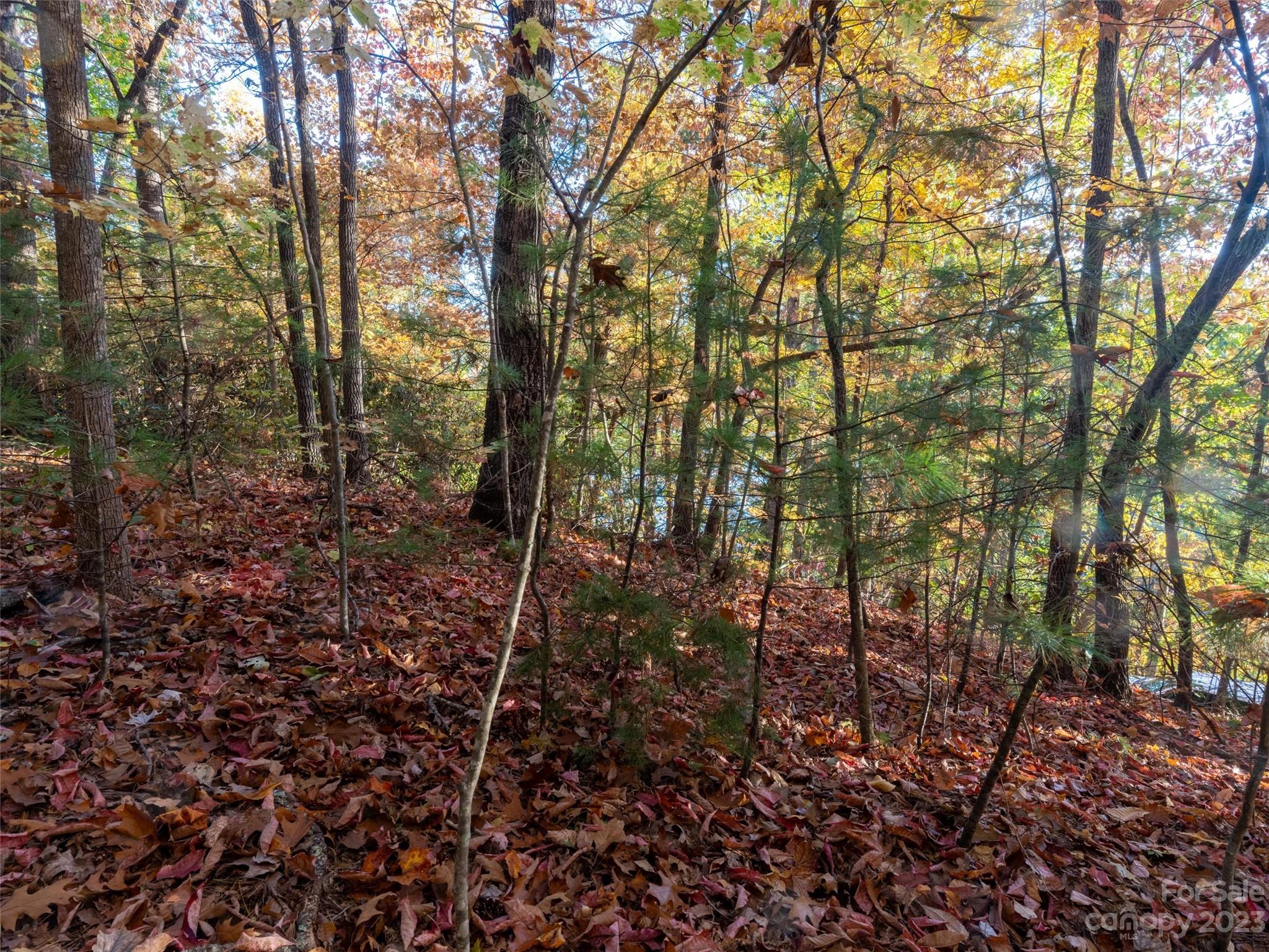 Overlook Park - Land