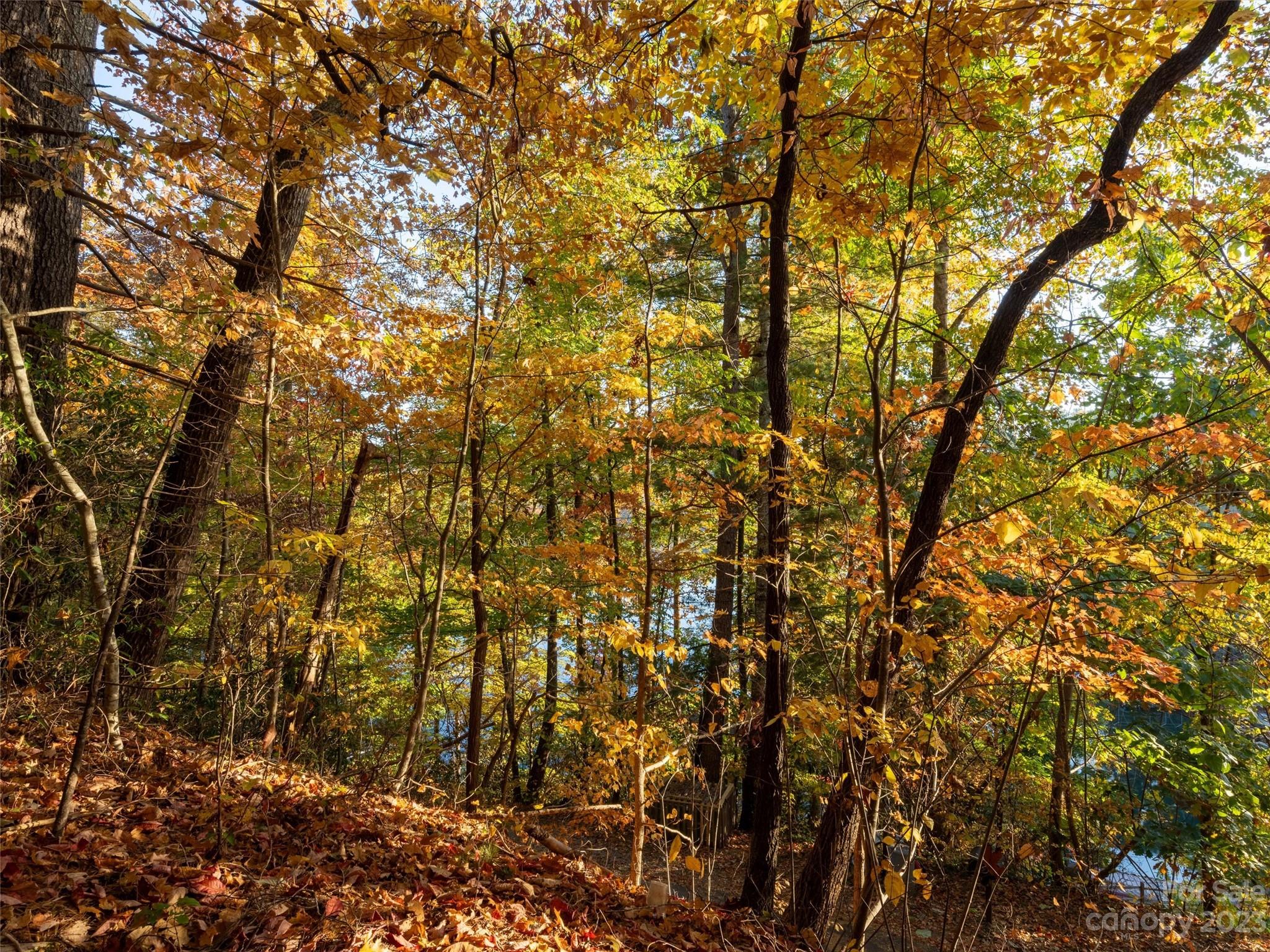 Overlook Park - Land
