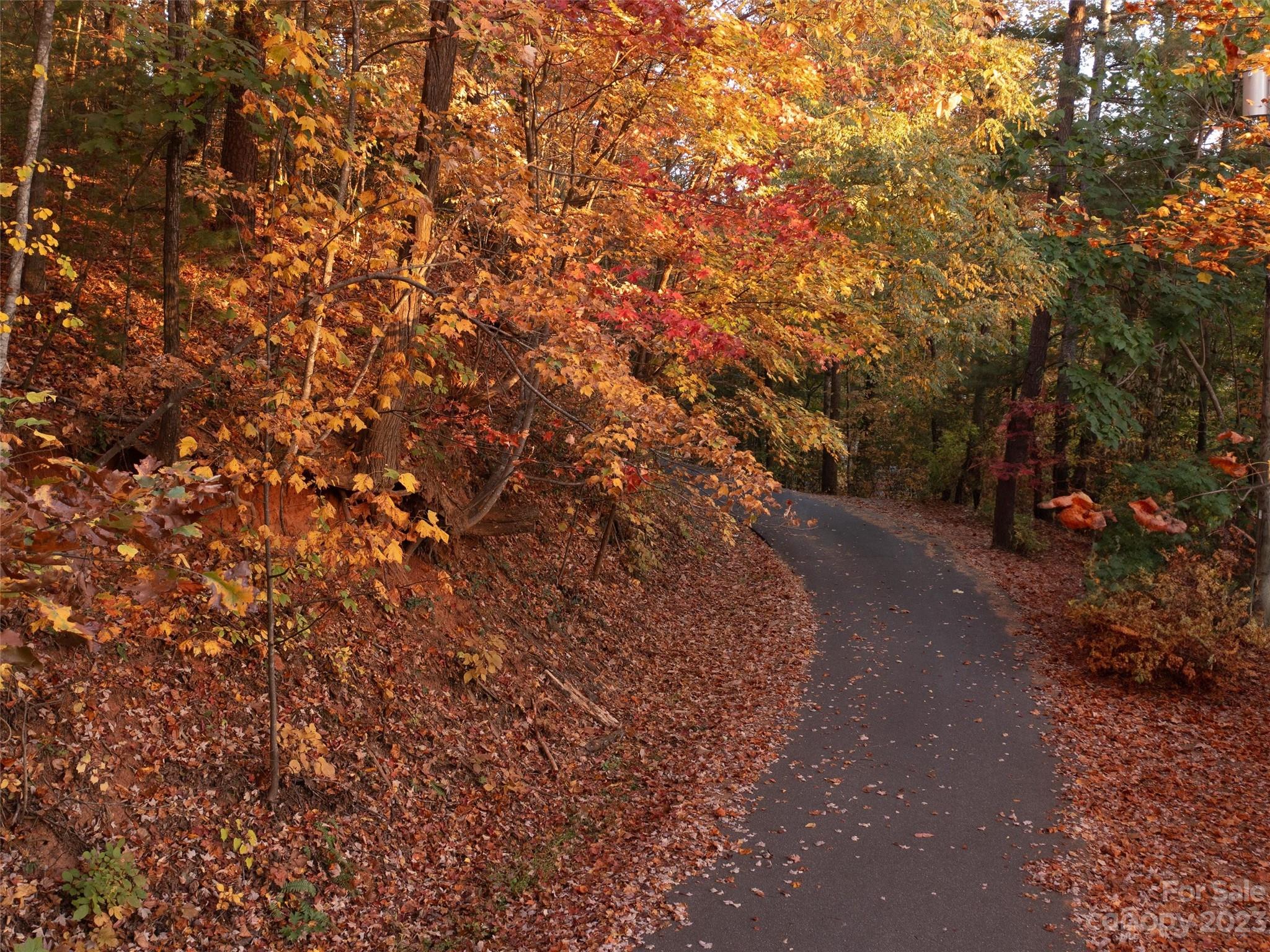 Overlook Park - Land