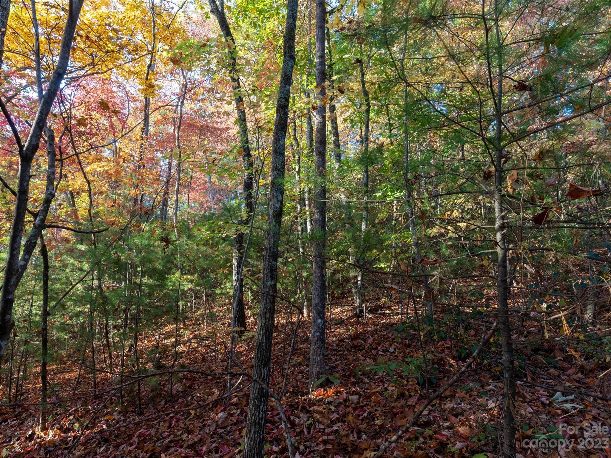 Overlook Park - Land