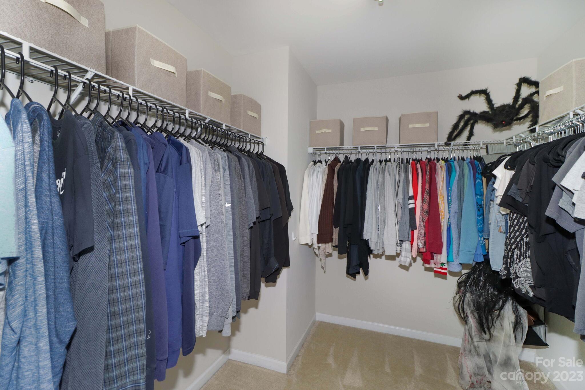 Curtis Pond - Residential