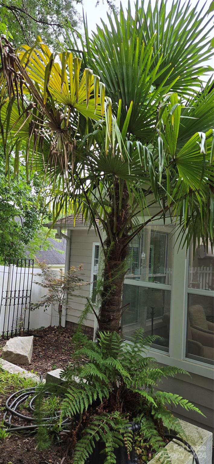 Palmetto West - Residential Lease