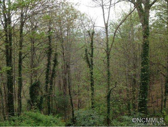 Indian Lake Estates - Residential