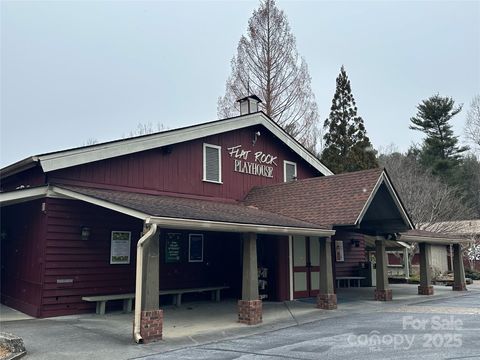 A home in Flat Rock