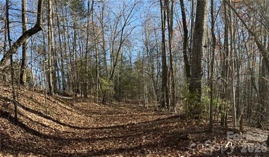 Mountain Park at Lake Adger - Land