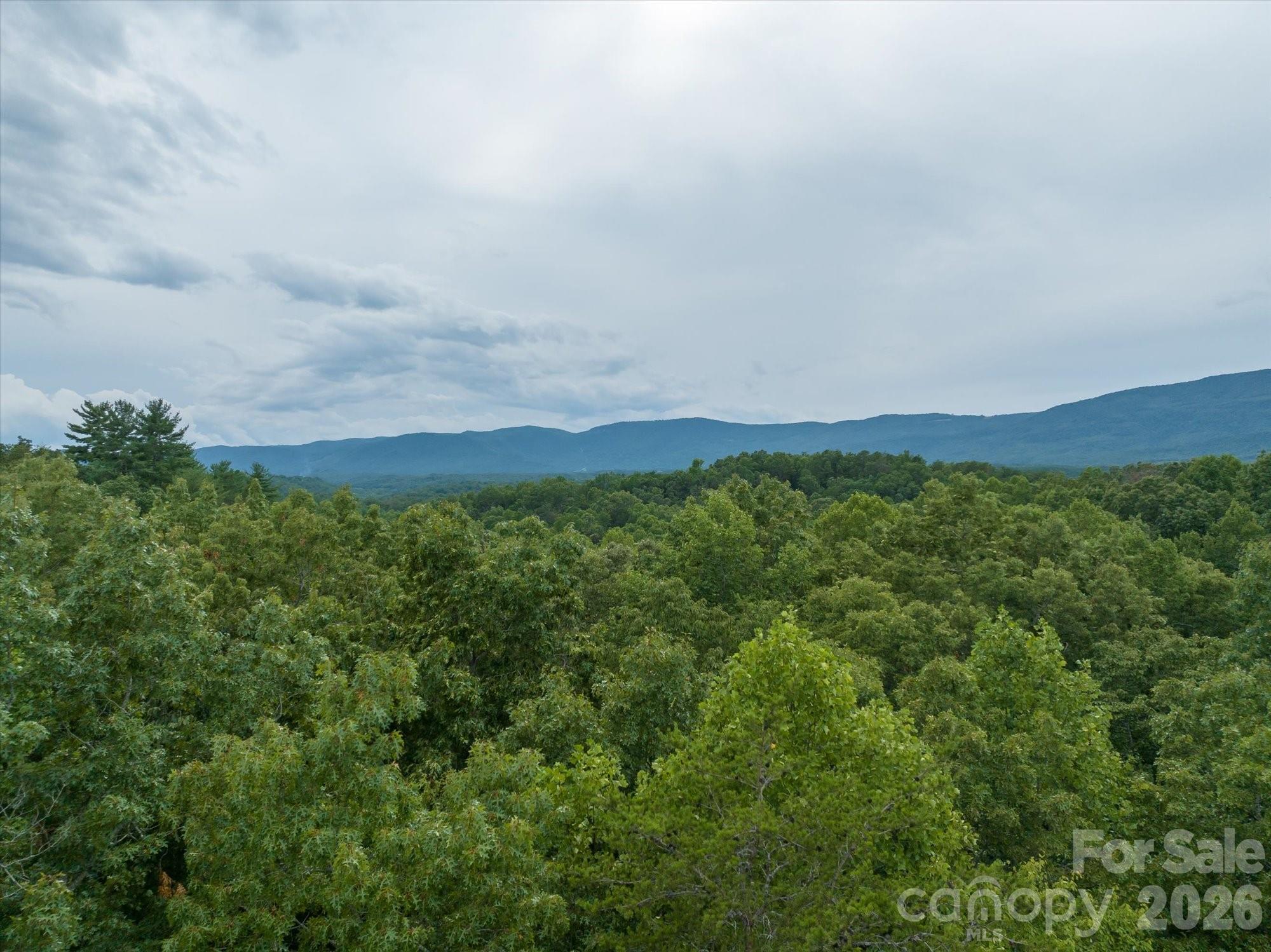 Mountain Park at Lake Adger - Land