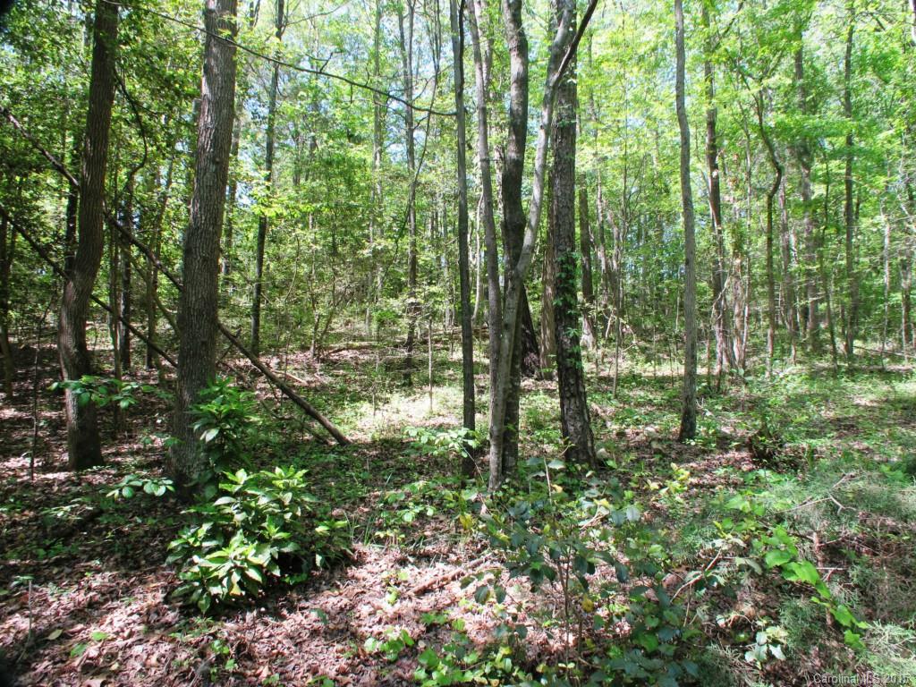 Carowood - Residential