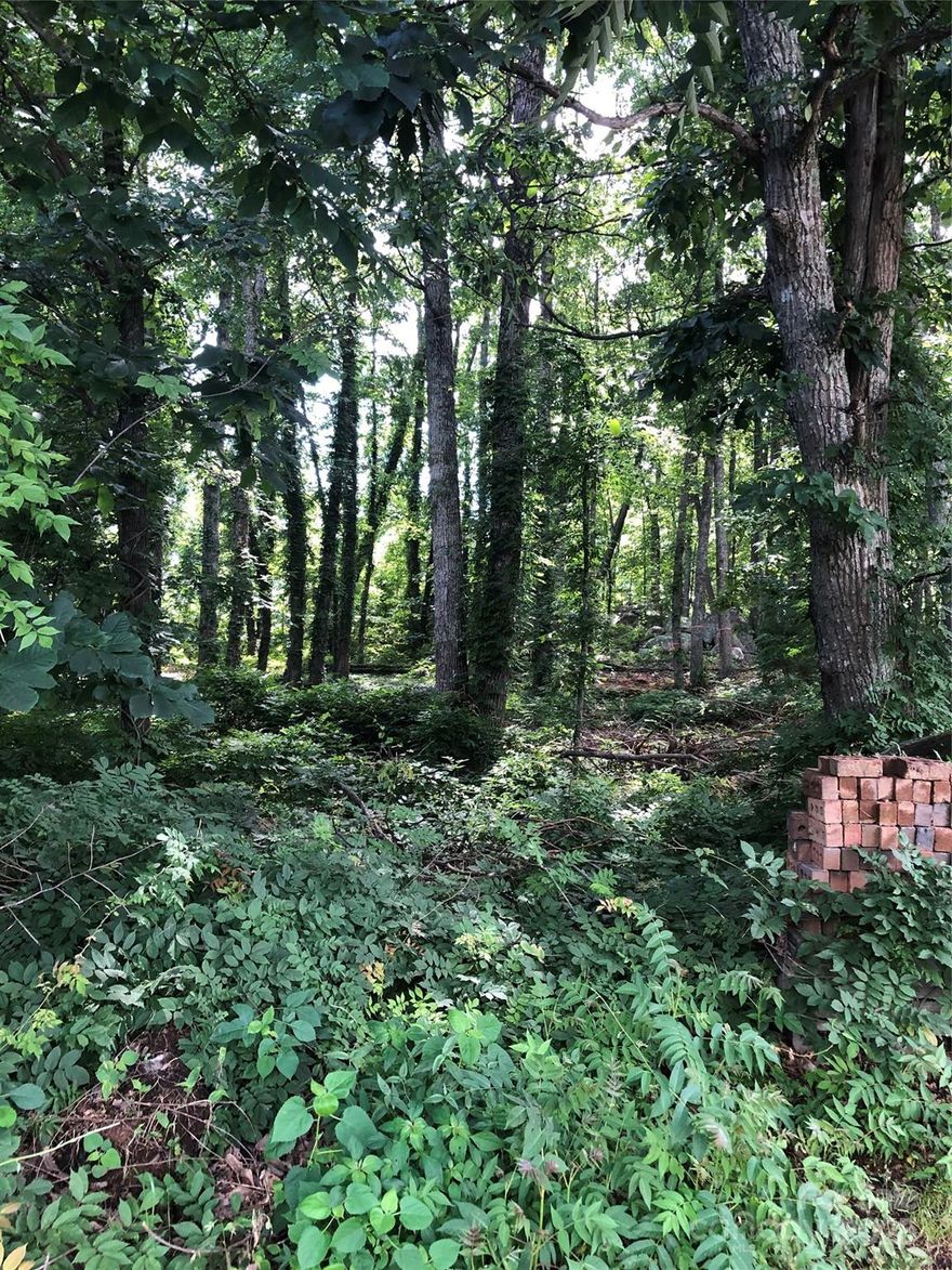 Lots 6 & 7 have been combined for tax purposes only, but can be separated into 2 individual lots.  Wooded lot with views of Uwharrie Mountains.  Main level must have 1800sf and exterior construction is to be full brick.  The lots did perc in 2007, but a new perc test will be needed per Rowan County Environmental Health Dept.