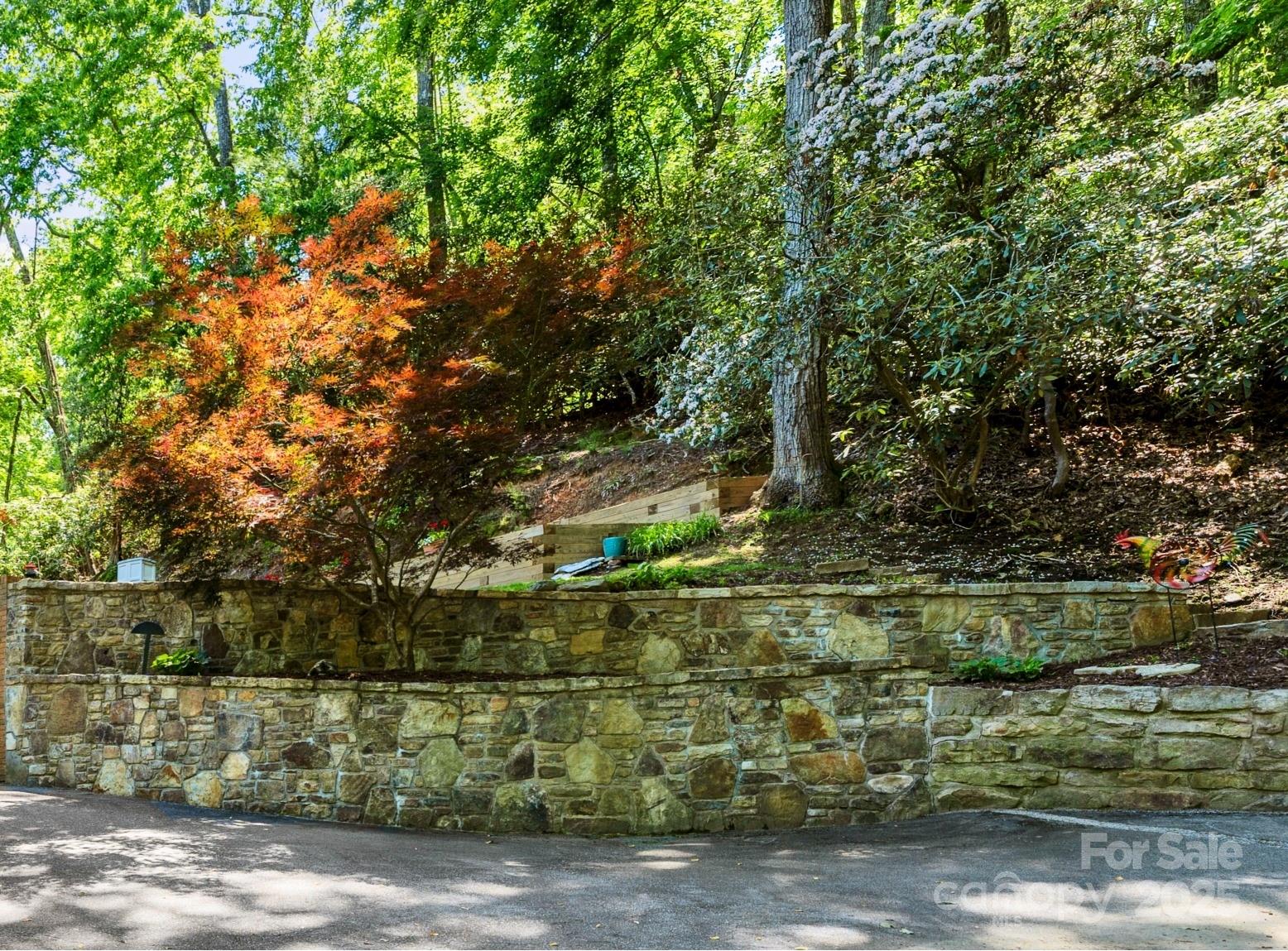 230 Turtle Lane