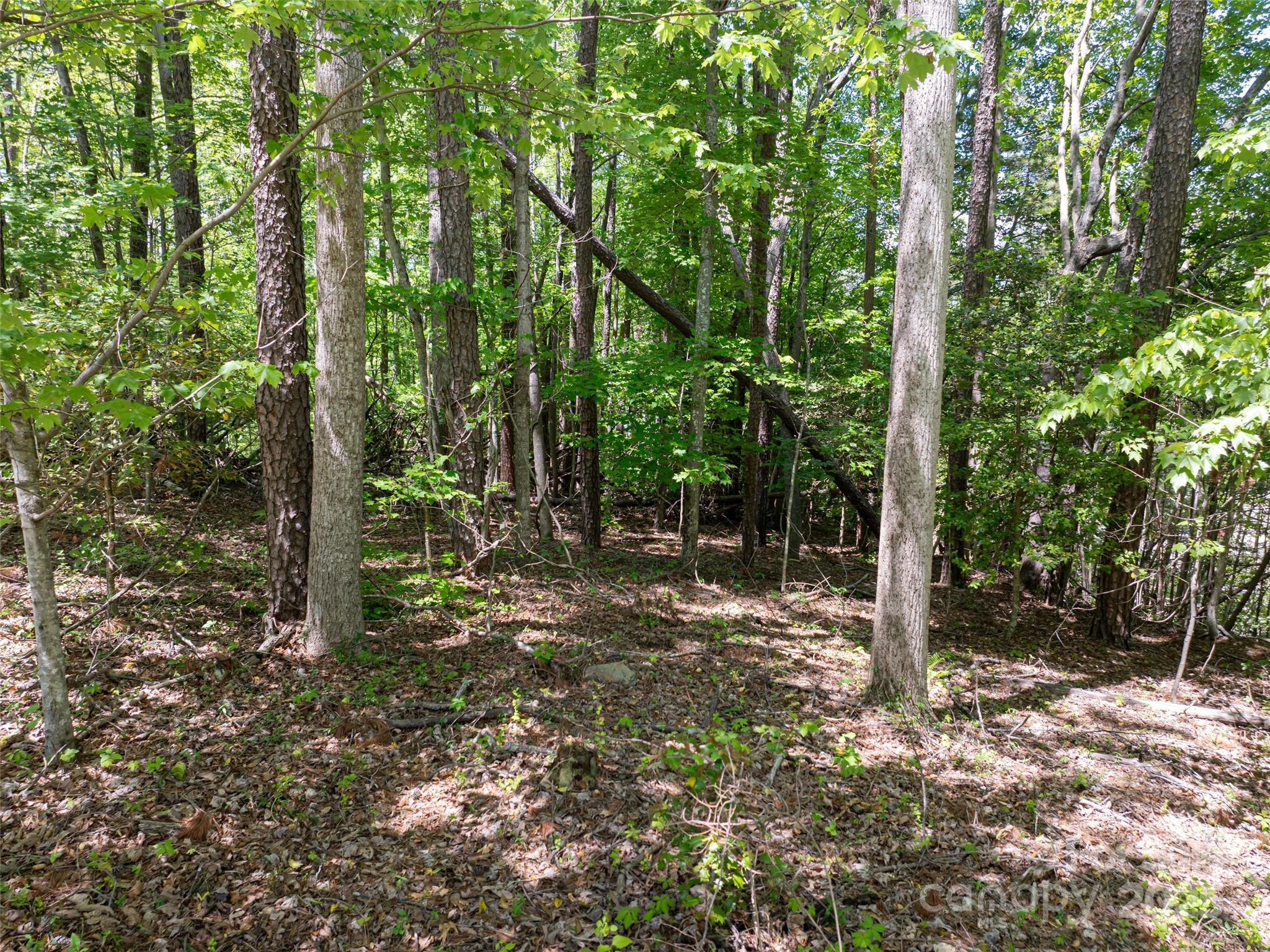 99999 Brevard Road