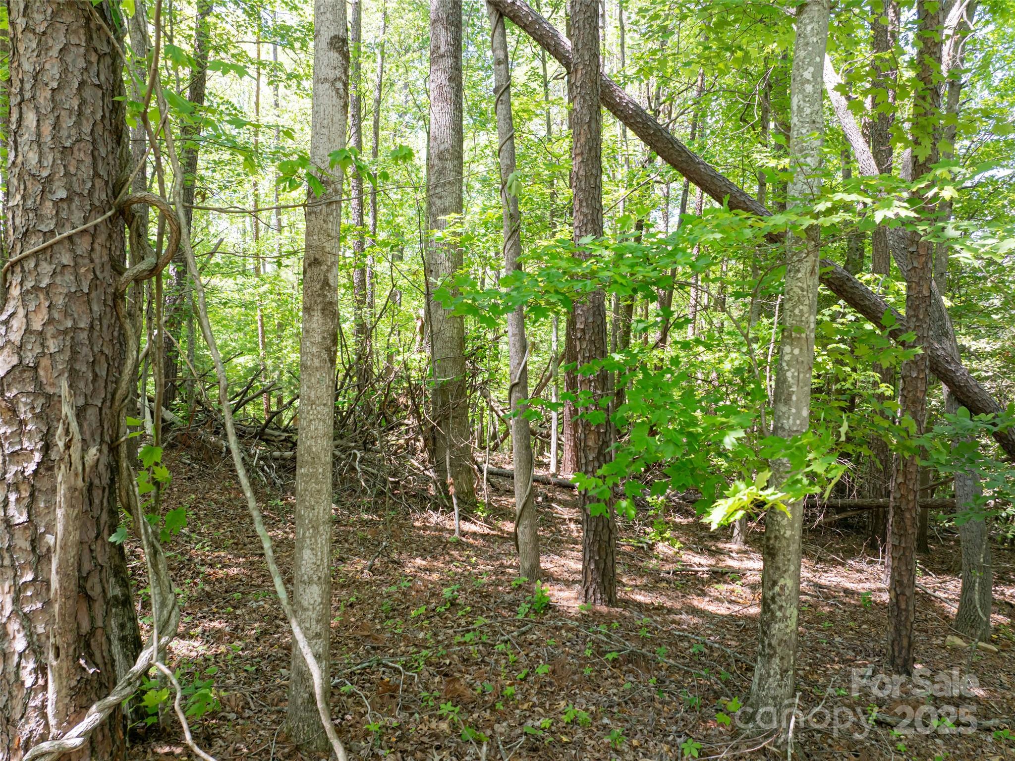 99999 Brevard Road