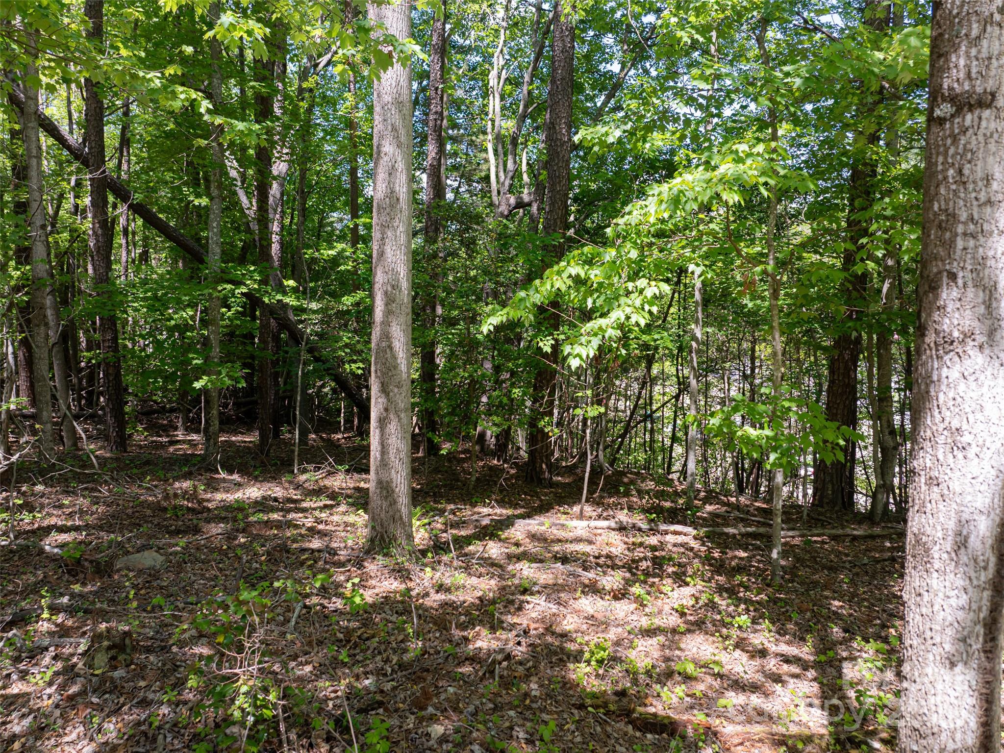 99999 Brevard Road