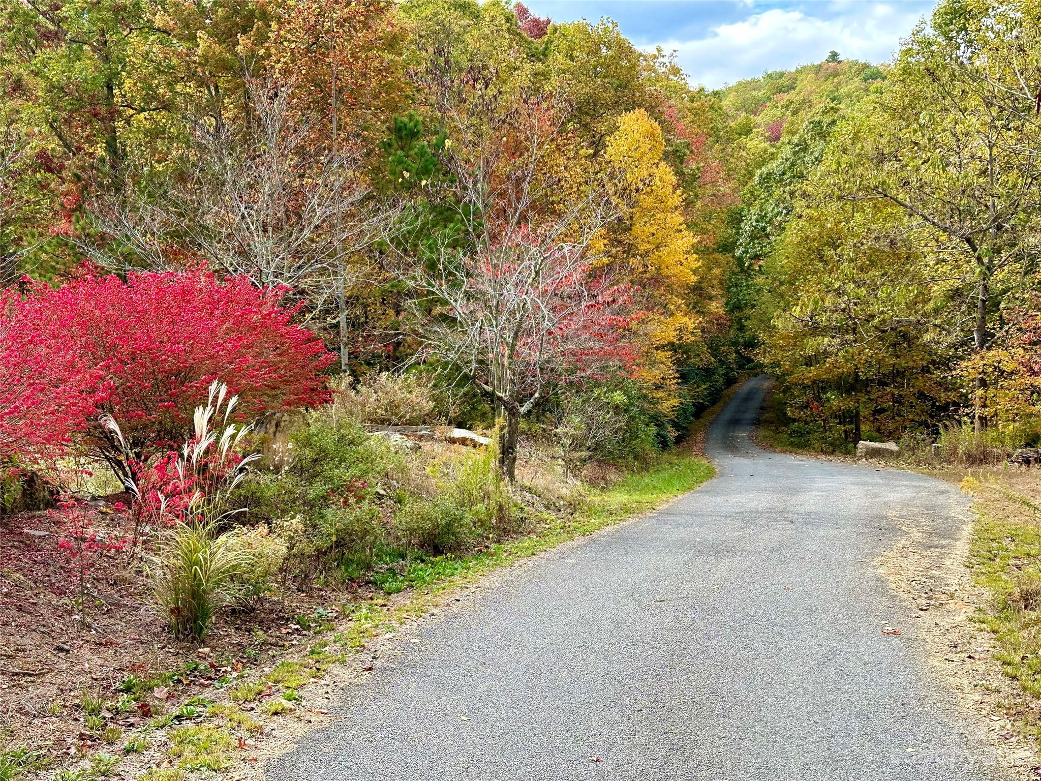 Laurel Mountain Preserve - Land