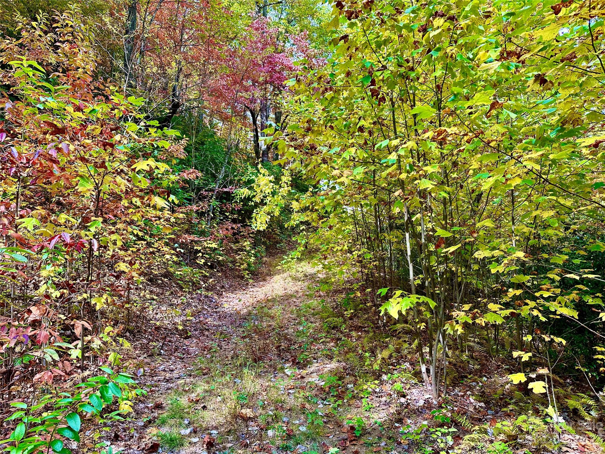 Laurel Mountain Preserve - Land