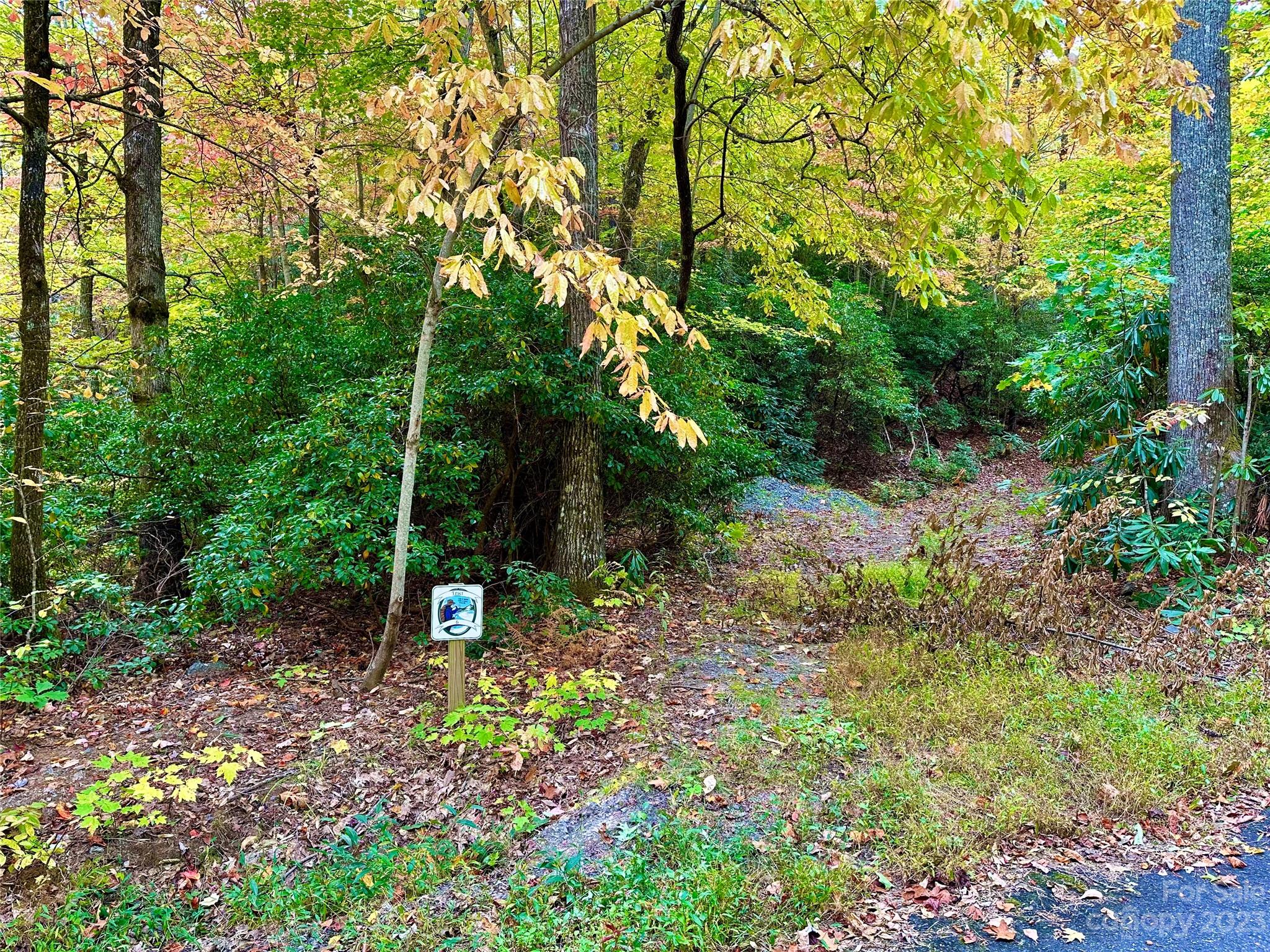 Laurel Mountain Preserve - Land