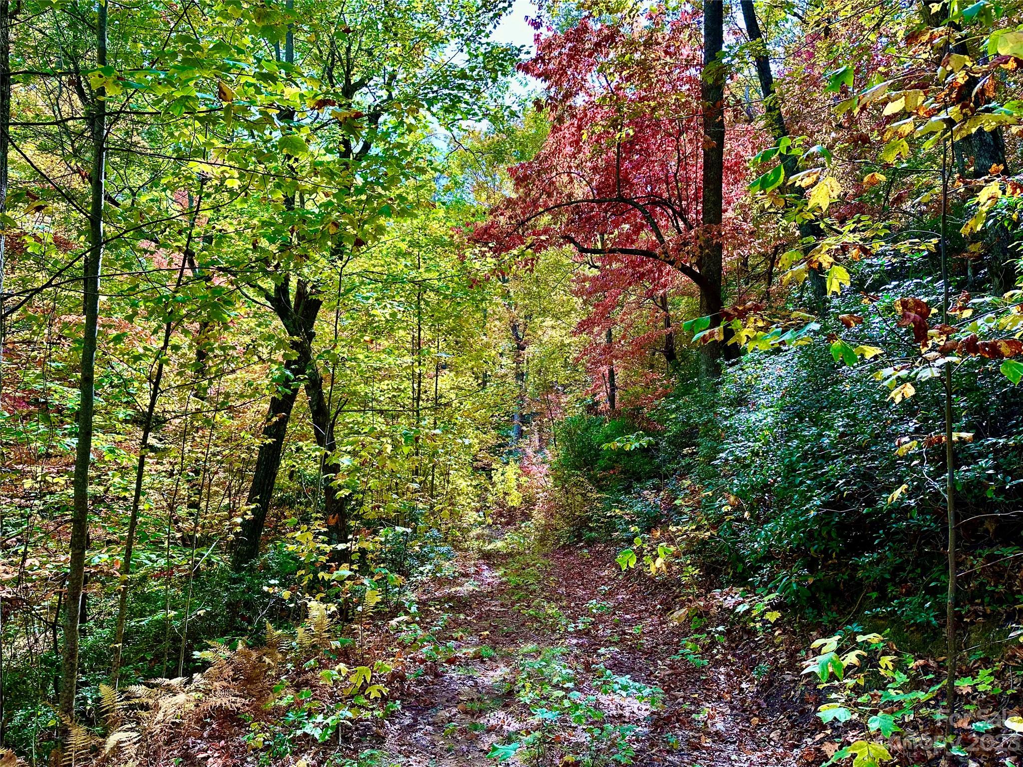 Laurel Mountain Preserve - Land