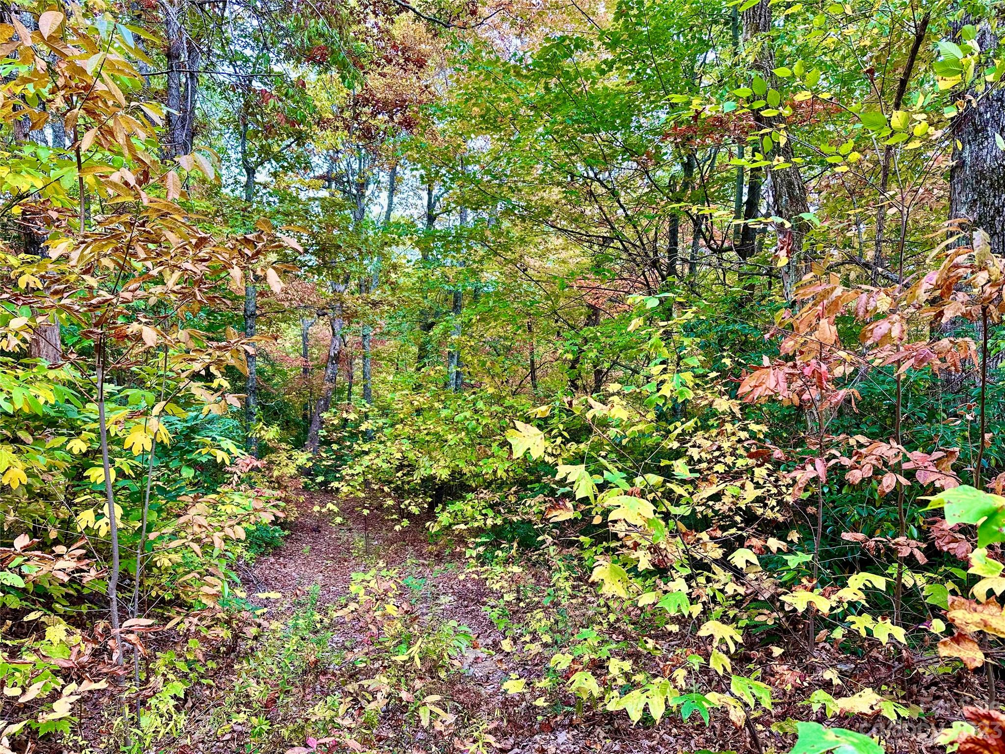 Laurel Mountain Preserve - Land