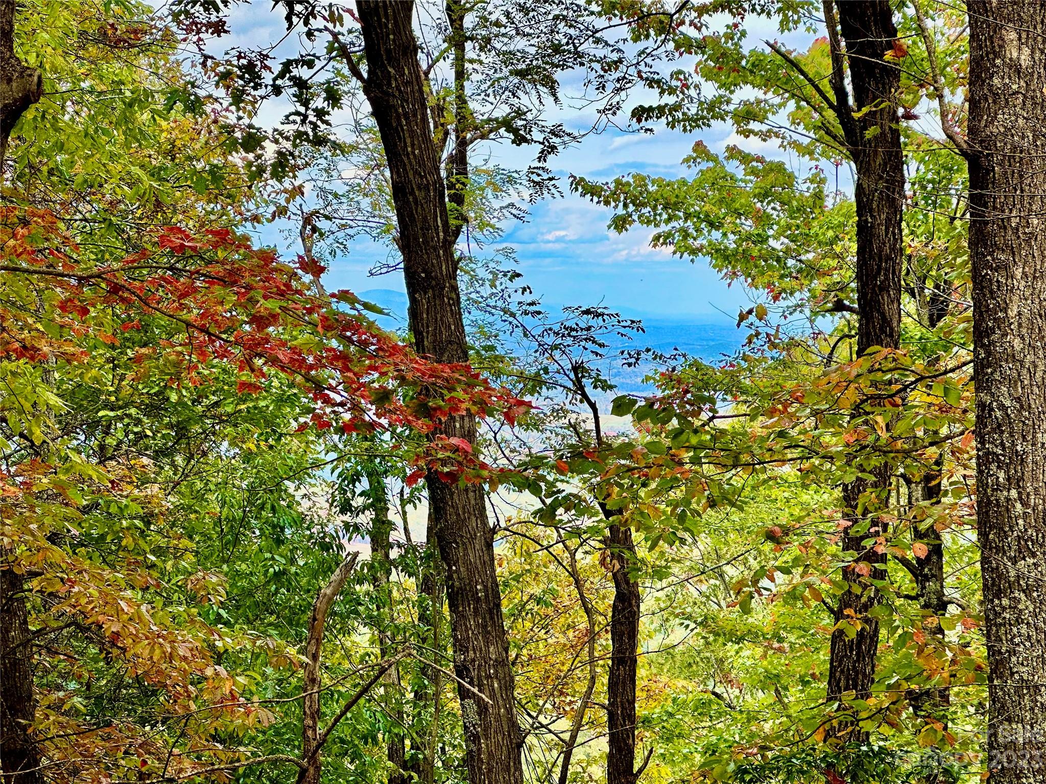Laurel Mountain Preserve - Land