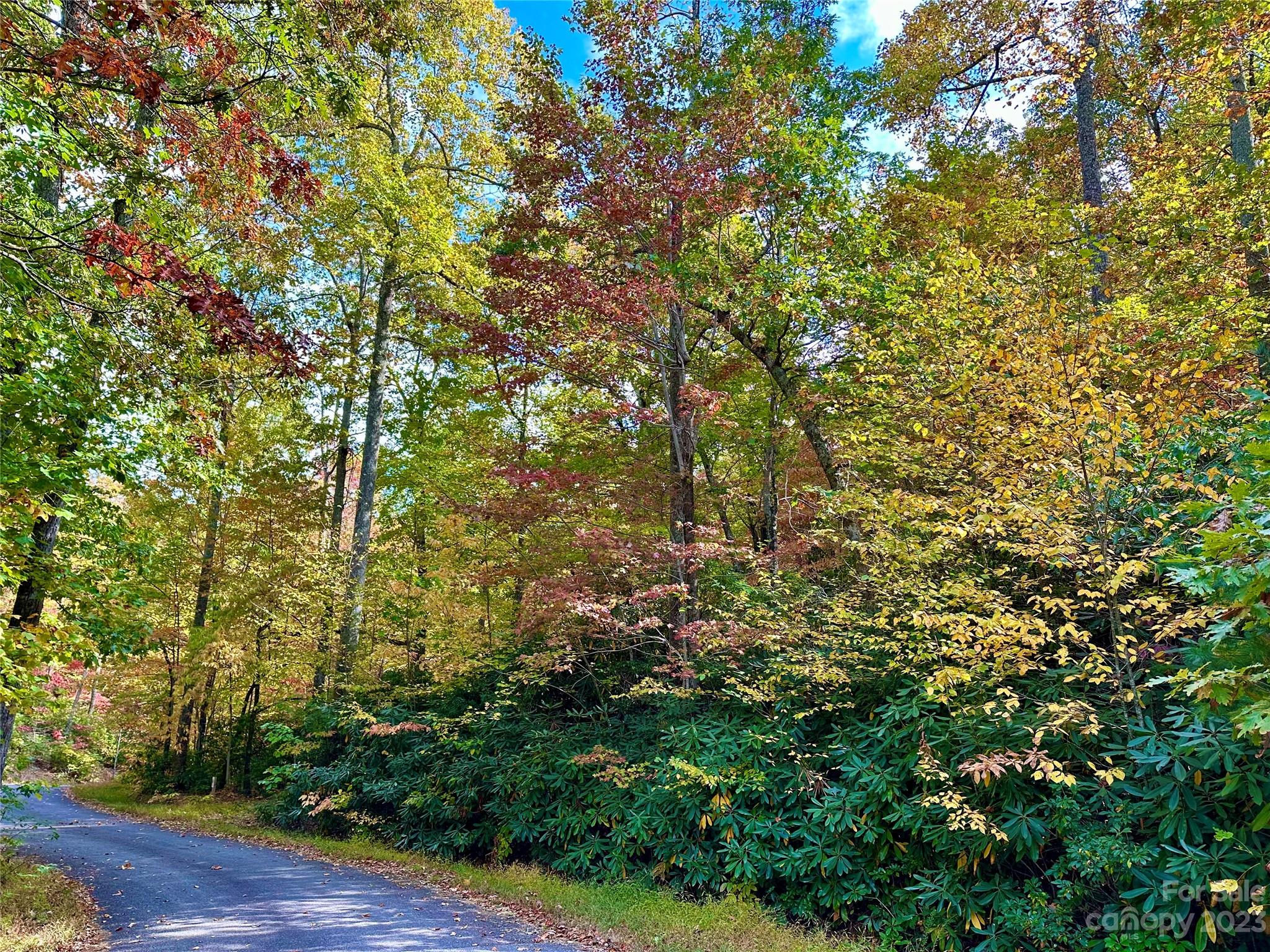Laurel Mountain Preserve - Land